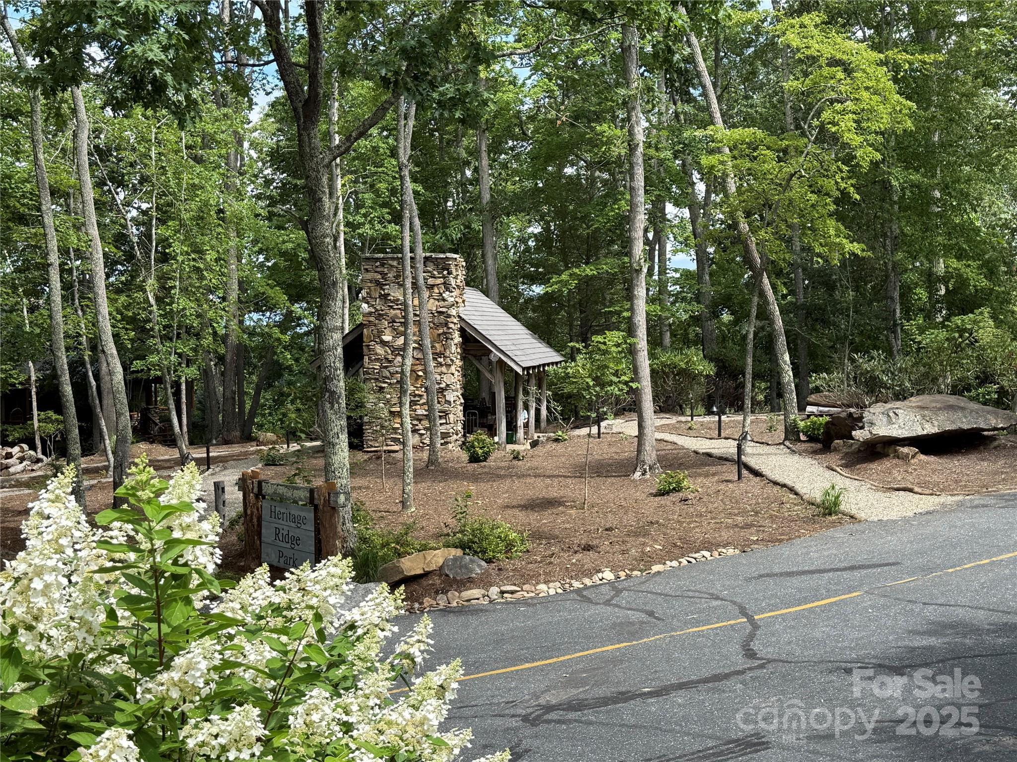 Lot 20 Heritage Ridge Road, Unit 20/4 Burnsville, NC 28714 - Photo 19 of 20 a view of a park with plants and large trees