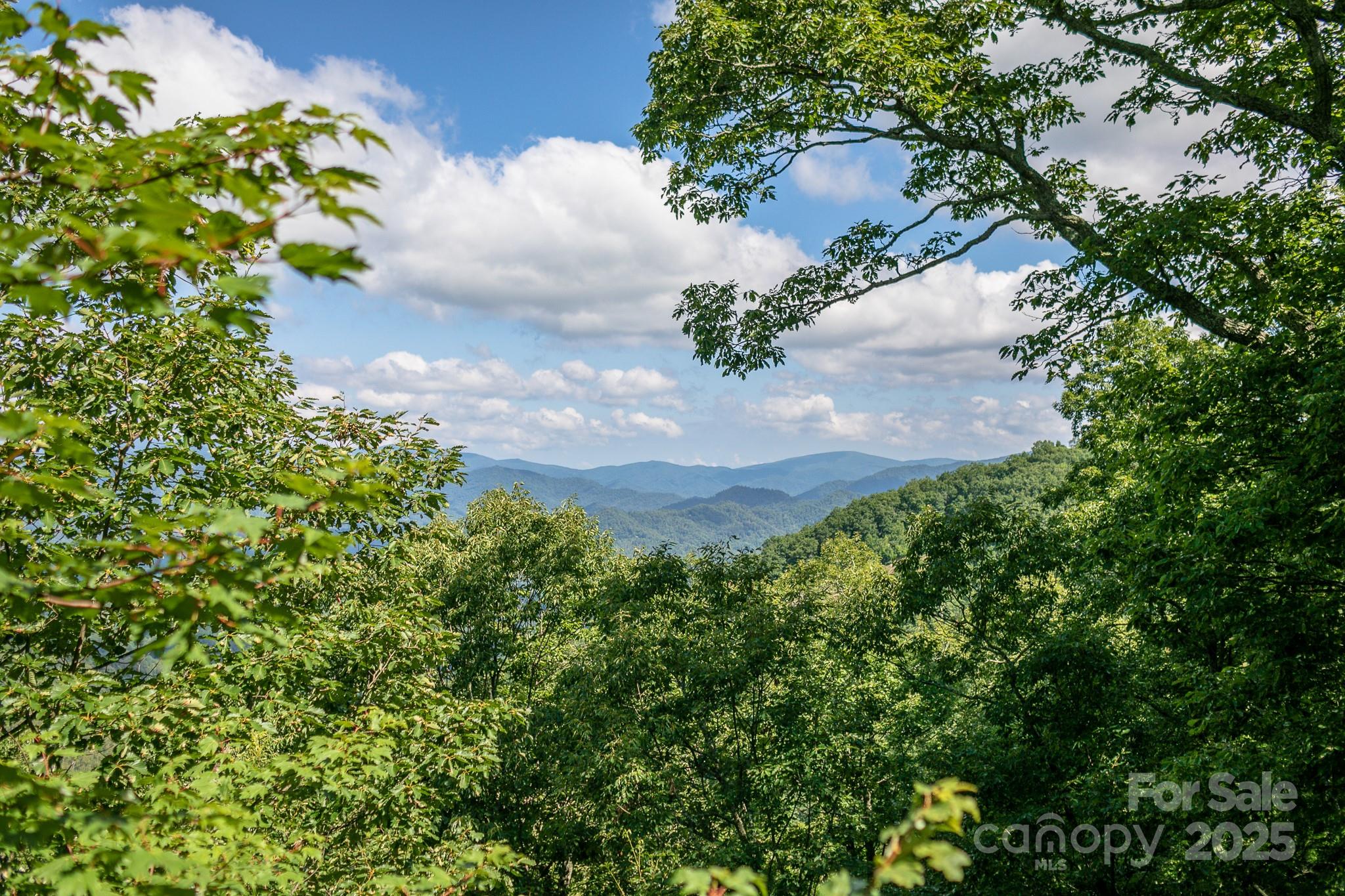 Lot 20 Heritage Ridge Road, Unit 20/4 Burnsville, NC 28714 - Photo 2 of 20