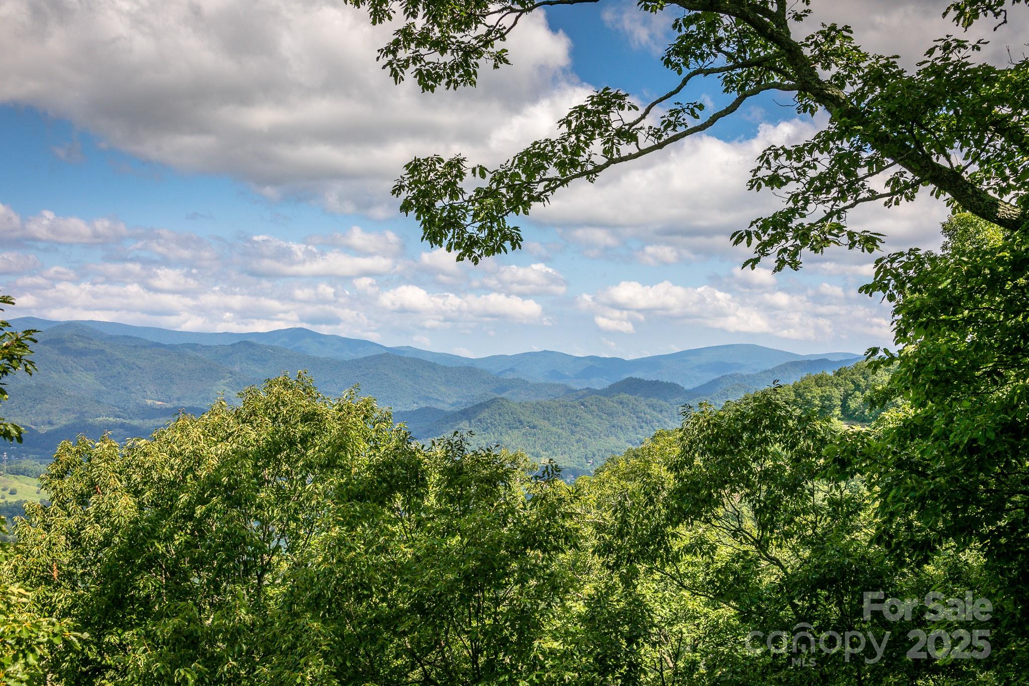 Lot 20 Heritage Ridge Road, Unit 20/4 Burnsville, NC 28714 - Photo 4 of 20 an aerial view of a houses with yard