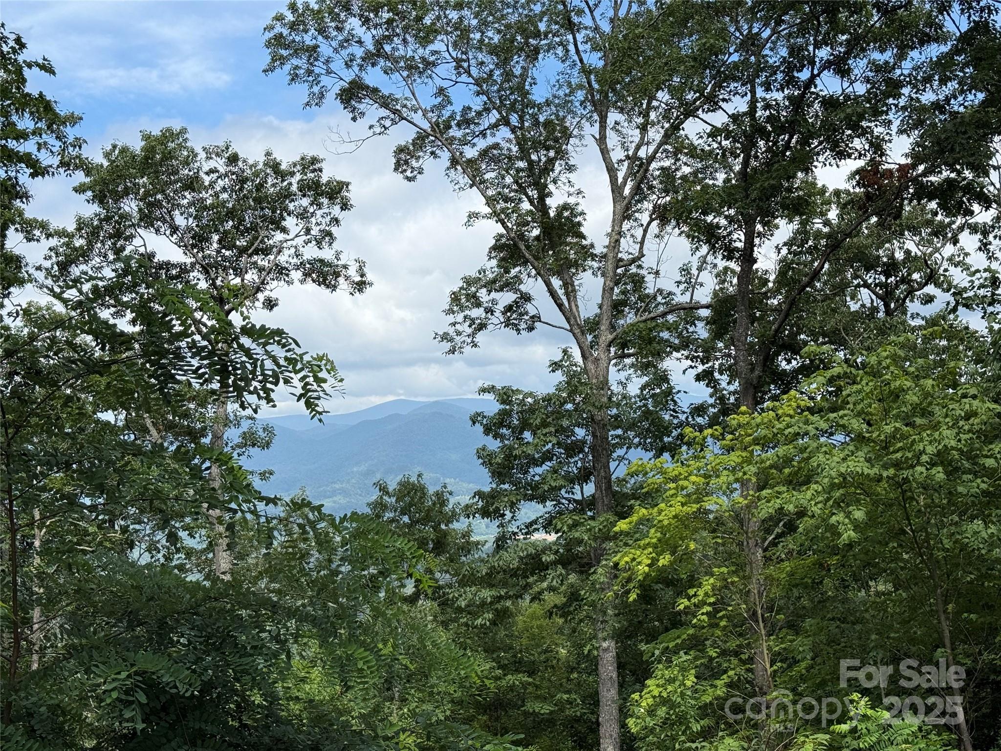 Lot 20 Heritage Ridge Road, Unit 20/4 Burnsville, NC 28714 - Photo 5 of 20 a view of a lake