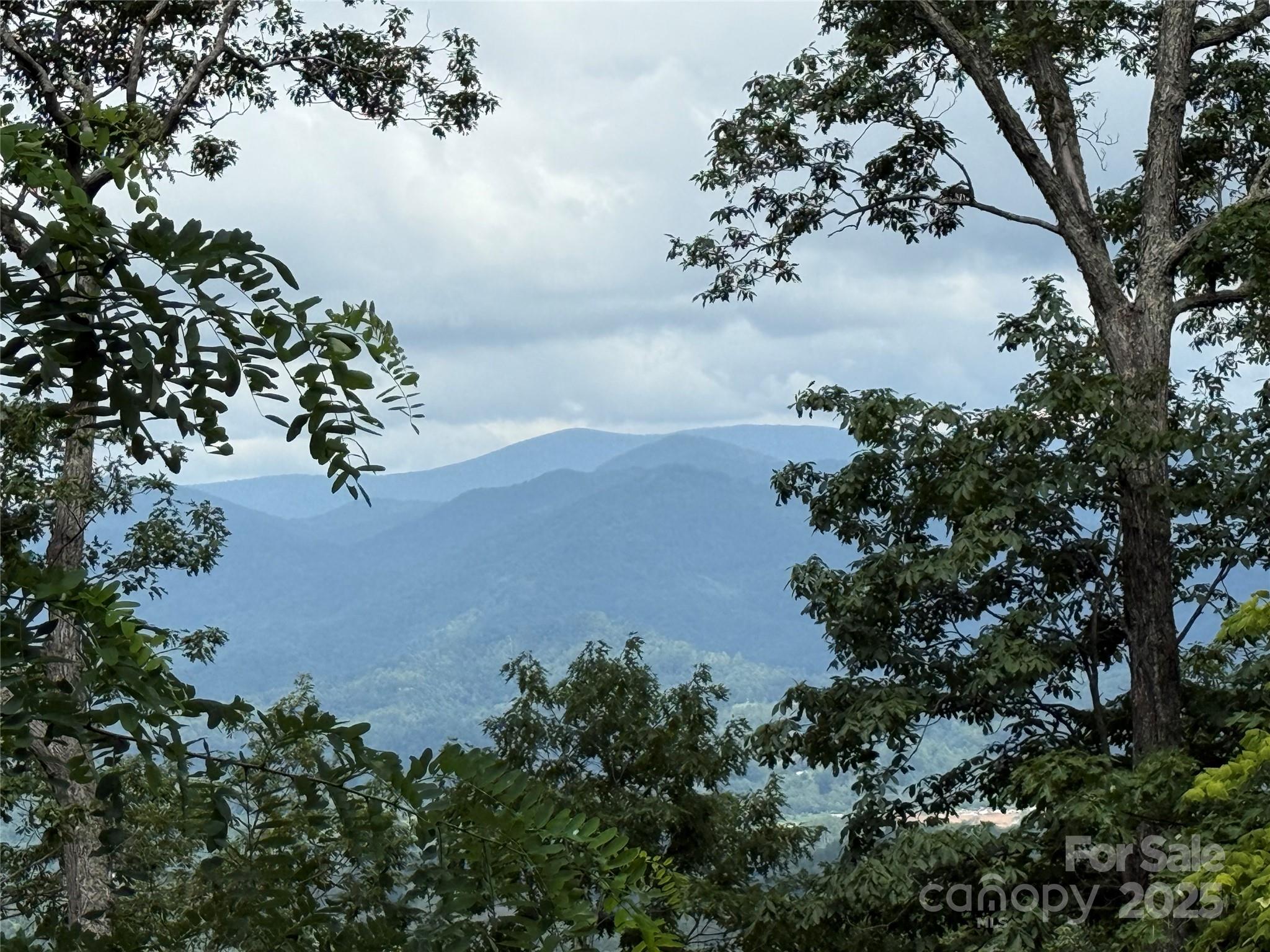 Lot 20 Heritage Ridge Road, Unit 20/4 Burnsville, NC 28714 - Photo 6 of 20 an aerial view of a house with a yard and lake view