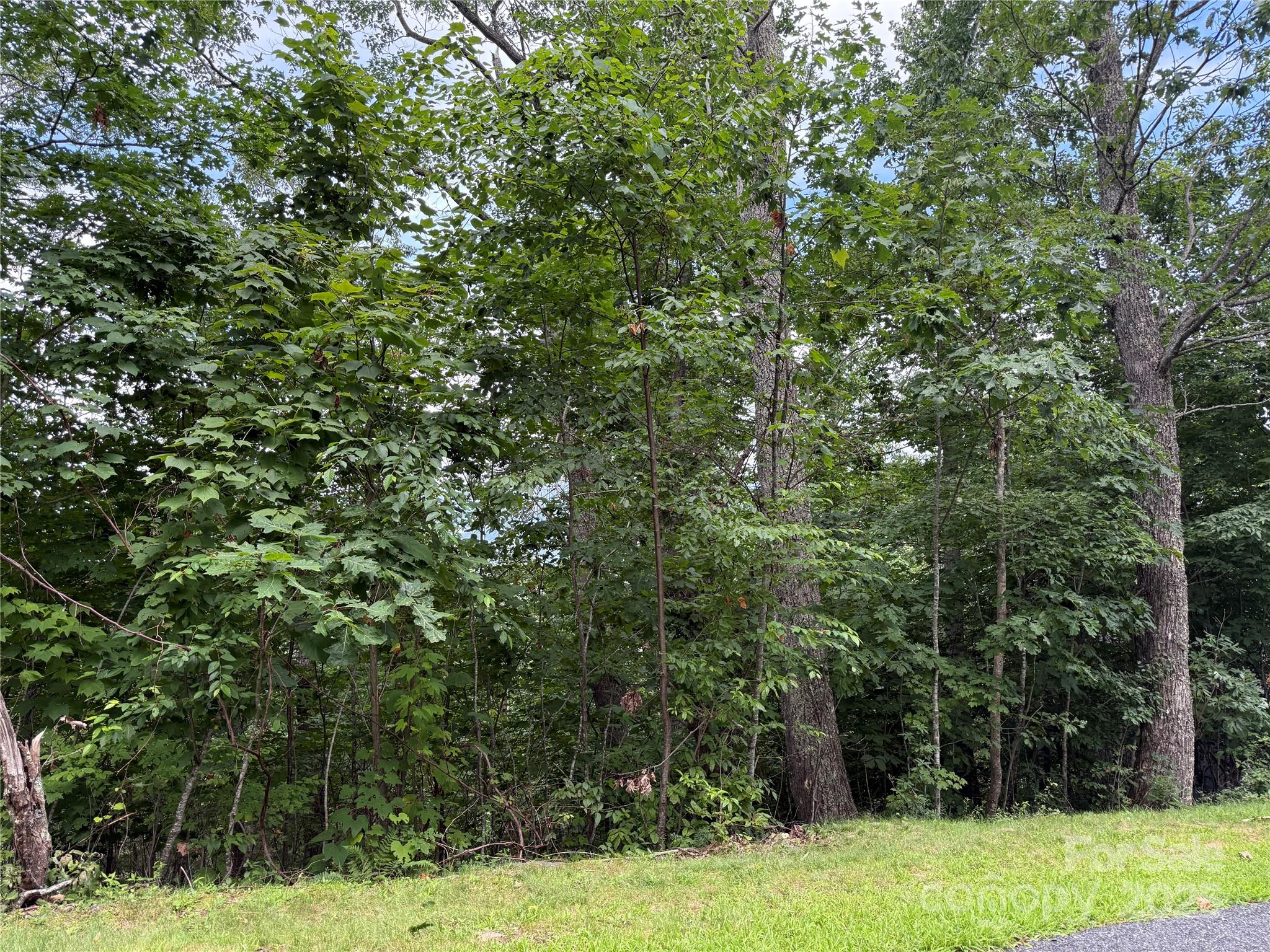 Lot 20 Heritage Ridge Road, Unit 20/4 Burnsville, NC 28714 - Photo 7 of 20 a view of a yard