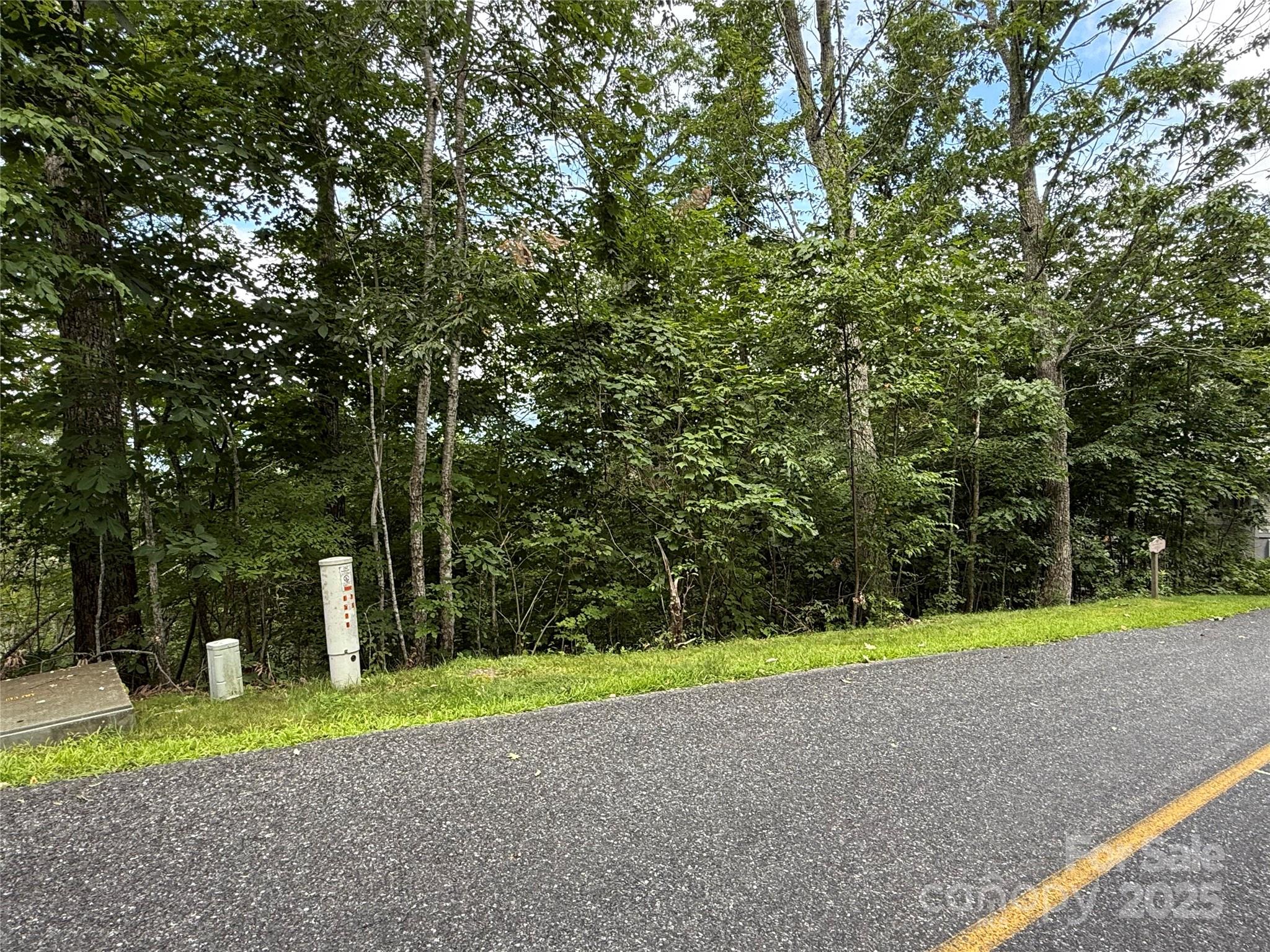 Lot 20 Heritage Ridge Road, Unit 20/4 Burnsville, NC 28714 - Photo 8 of 20 a view of a field of grass and trees