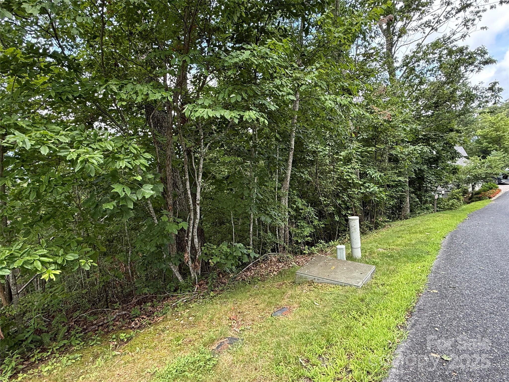 Lot 20 Heritage Ridge Road, Unit 20/4 Burnsville, NC 28714 - Photo 9 of 20 a view of outdoor space
