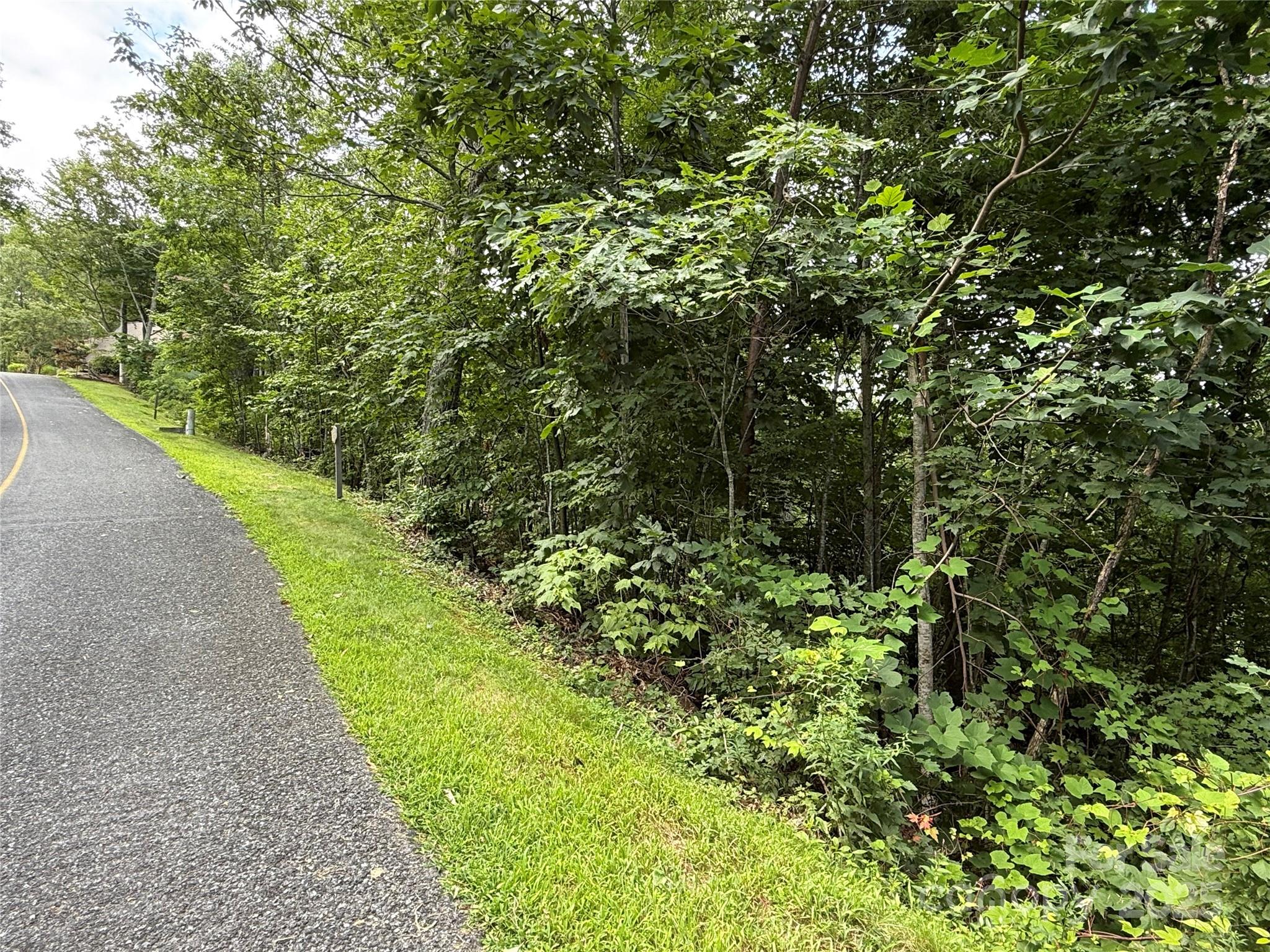 Lot 20 Heritage Ridge Road, Unit 20/4 Burnsville, NC 28714 - Photo 10 of 20 a view of a garden
