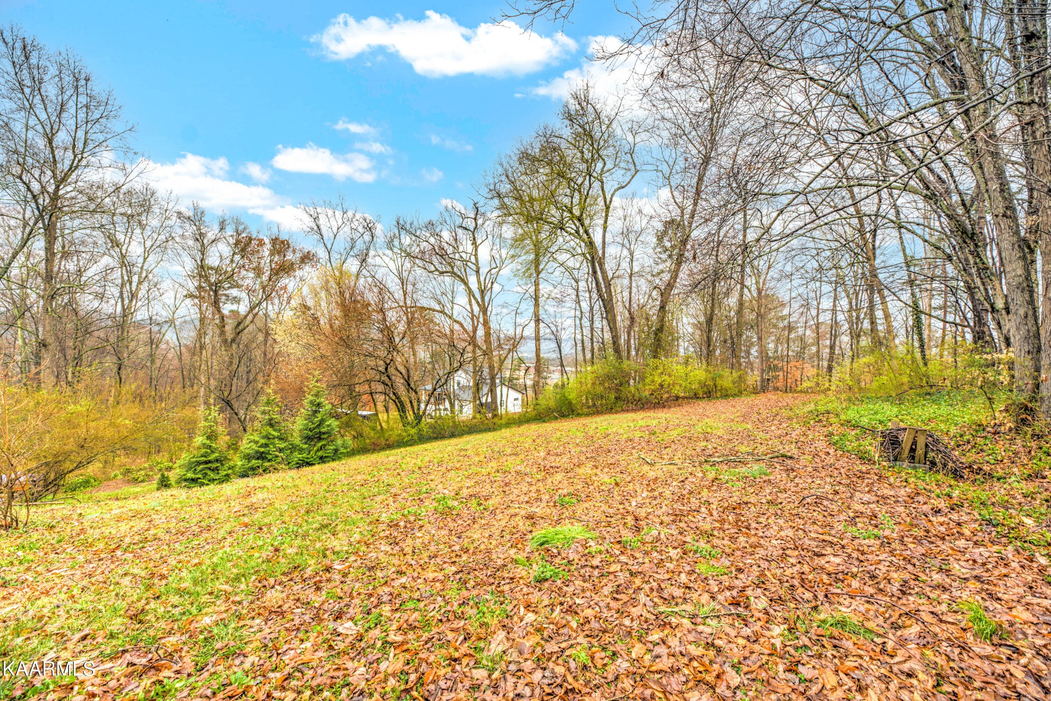 7827 Fersner Road Powell, TN 37849 - Photo 24 of 25 Gallery Image 24