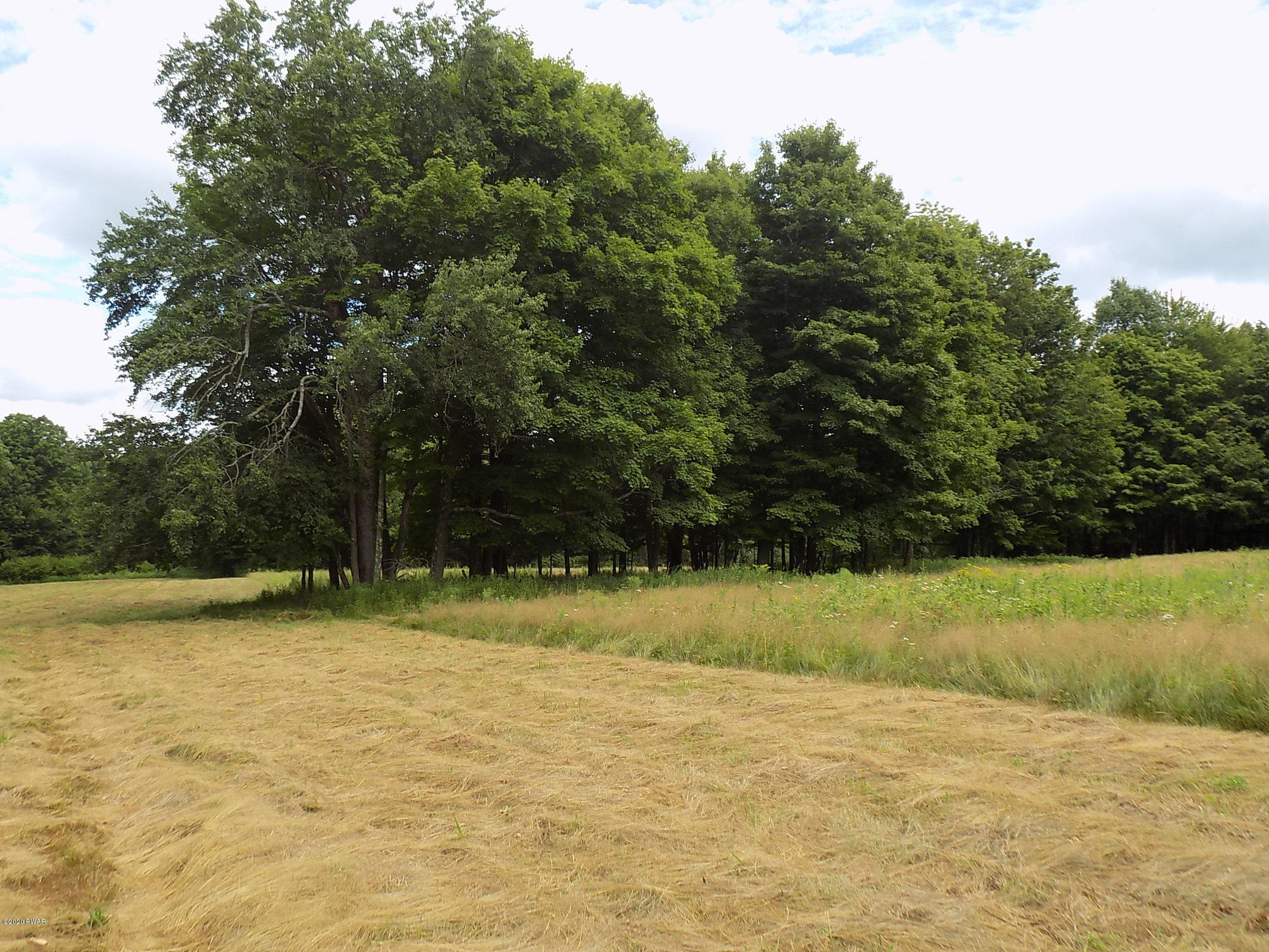 Lot 9 Phillips Road Newfoundland, PA 18445 - Photo 13 of 17