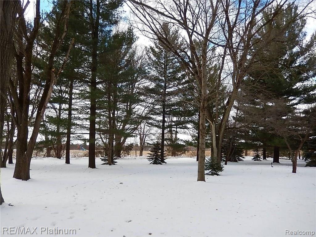 8187 Pingree Road Pinckney, MI 48169 - Photo 3 of 82 3.JPG