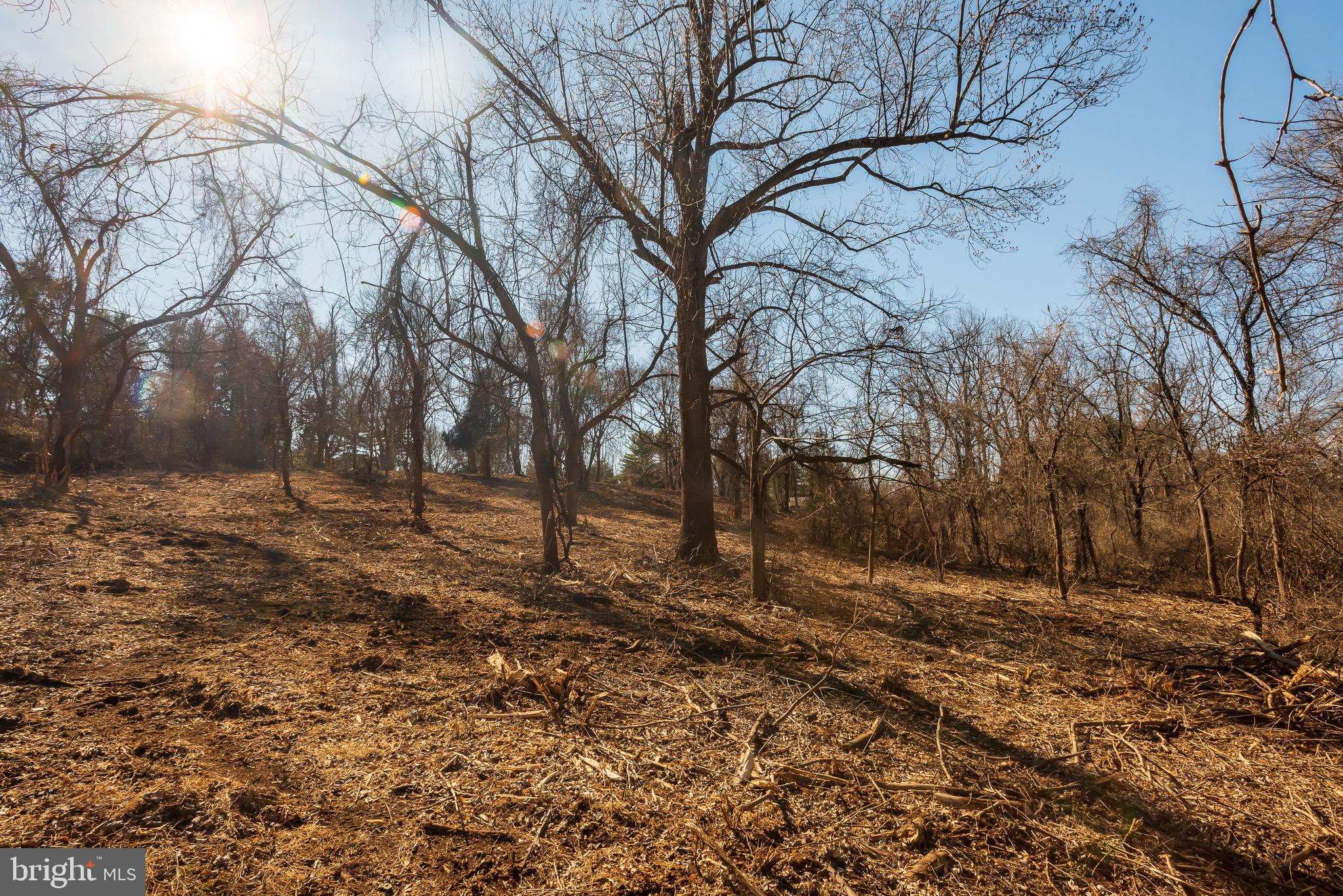 757 Hillview Road Malvern, PA 19355 - Photo 6 of 12 Gentle Slope