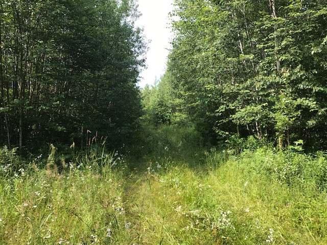 W4427 Hedin Road Ogema, WI 54459 - Photo 15 of 19 Gallery Image 15
