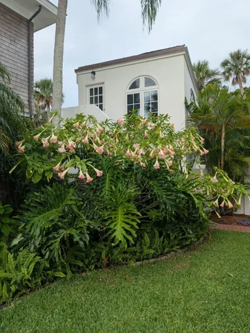 a view of a house with a garden