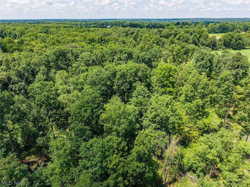 Wayland Road Diamond, OH 44412 - Photo 4 of 20