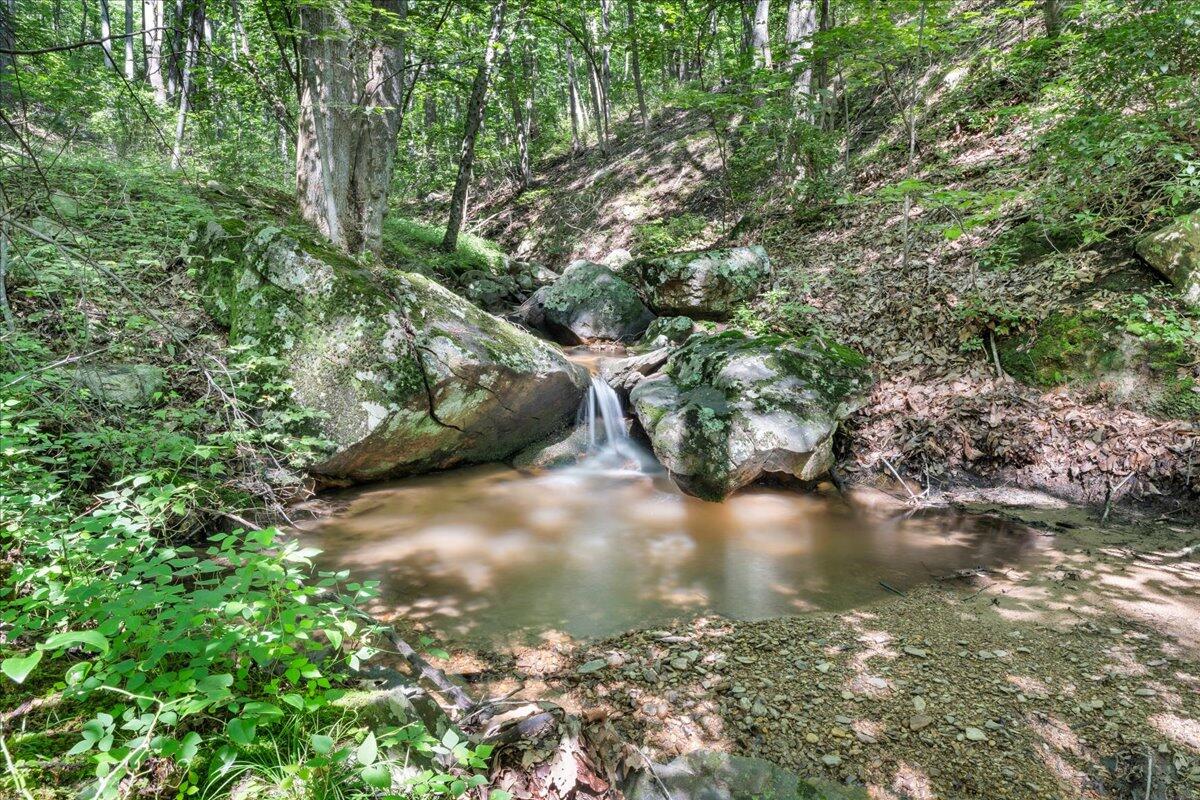 5340 Sandy Ford Road Blue Ridge, VA 24064 - Photo 54 of 76 a view of a lake