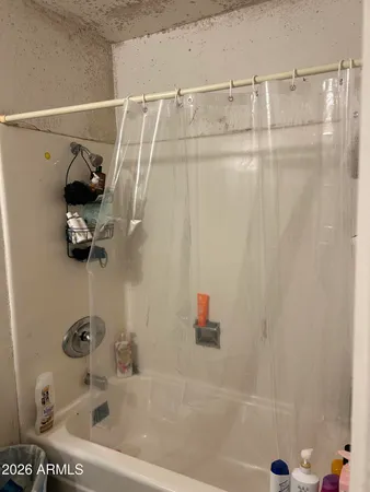 a bathroom with a shower and a sink