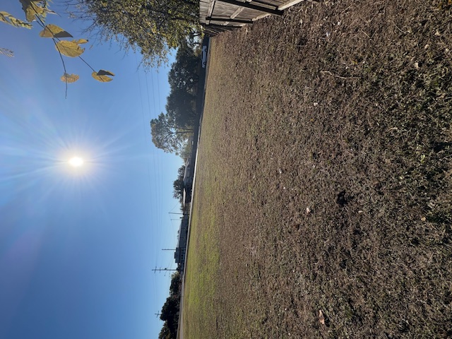 515 & Old Montgomery Road Navasota, TX 77868 - Photo 3 of 7 Looking toward Spur 515