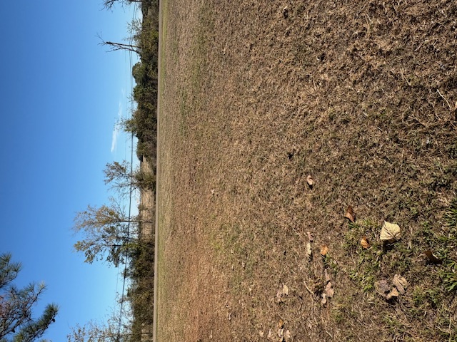 515 & Old Montgomery Road Navasota, TX 77868 - Photo 7 of 7