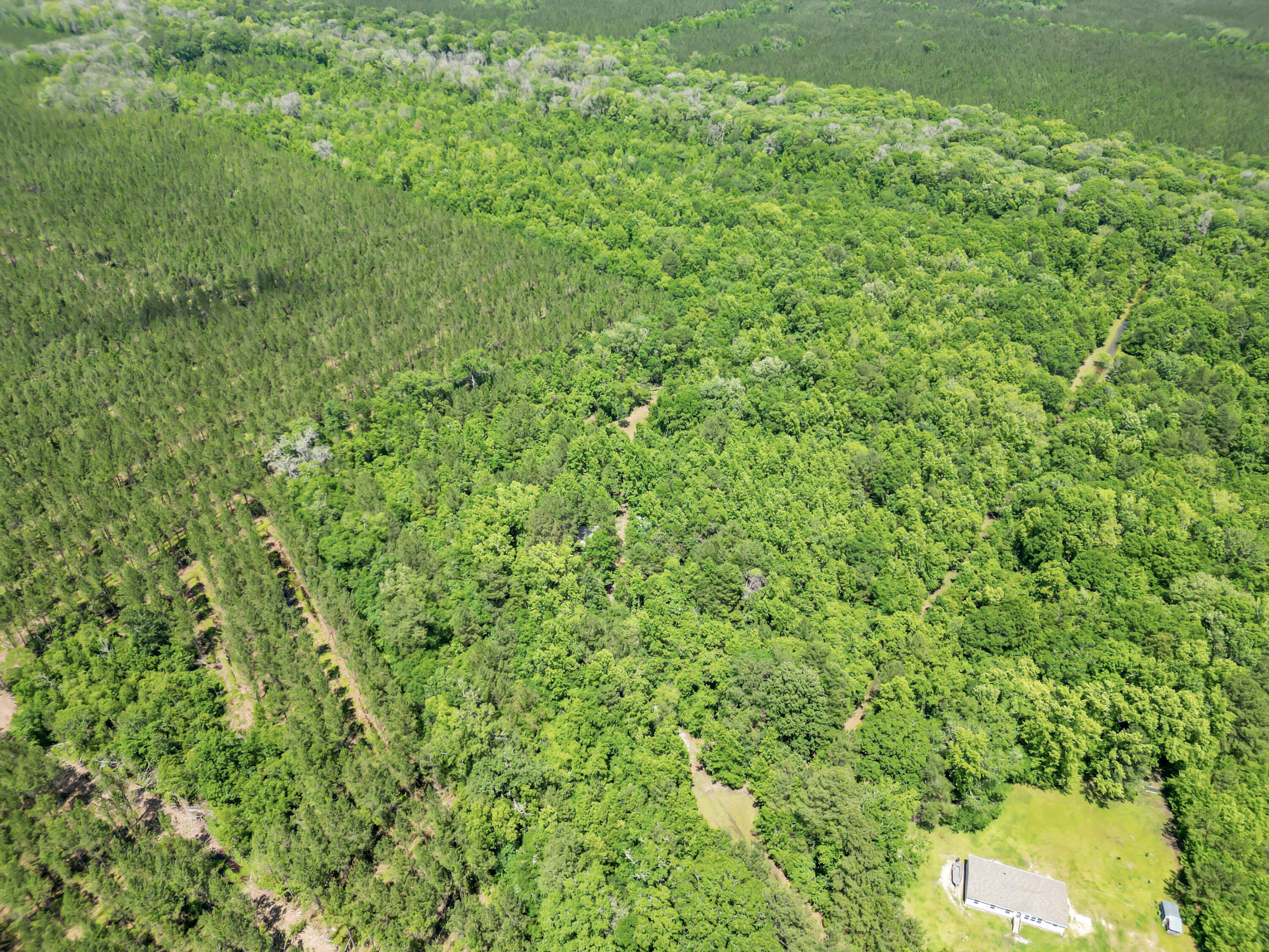 200 Riva Ridge Lane Round O, SC 29474 - Photo 19 of 23 DJI_0307
