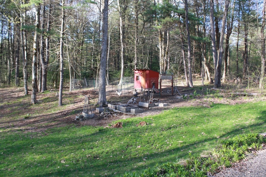 147 Baker Road Shutesbury, MA 01072 - Photo 5 of 29 Gallery Image 5