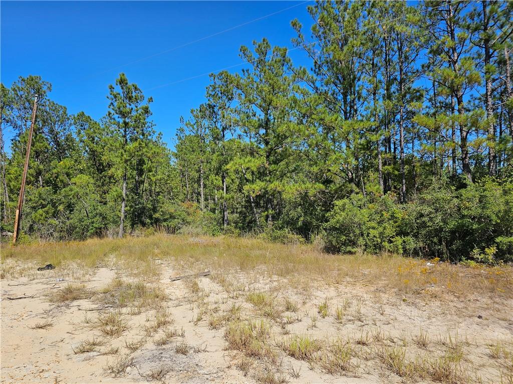 0 Setliff Road Flatwoods, LA 71427 - Photo 5 of 8 Gallery Image 5