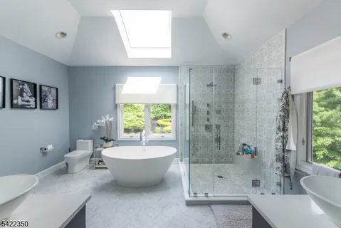 a view of a bathtub and a potted plant in a bathroom
