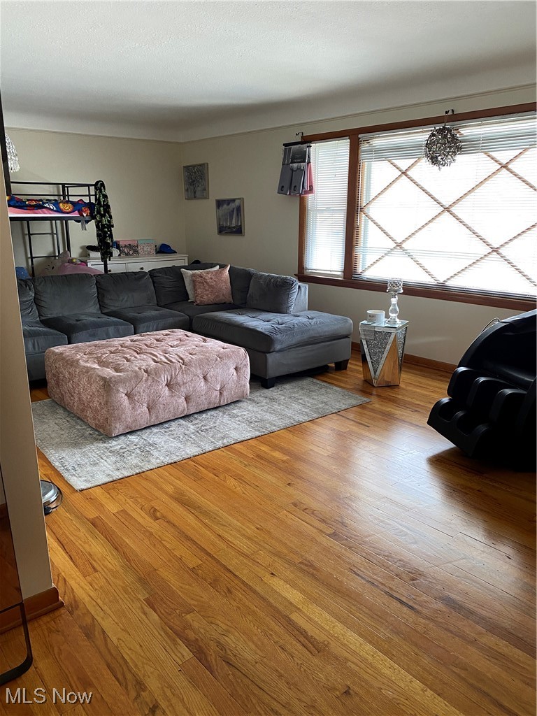 673 Babbitt Road Euclid, OH 44123 - Photo 20 of 32 Living room featuring wood-type flooring