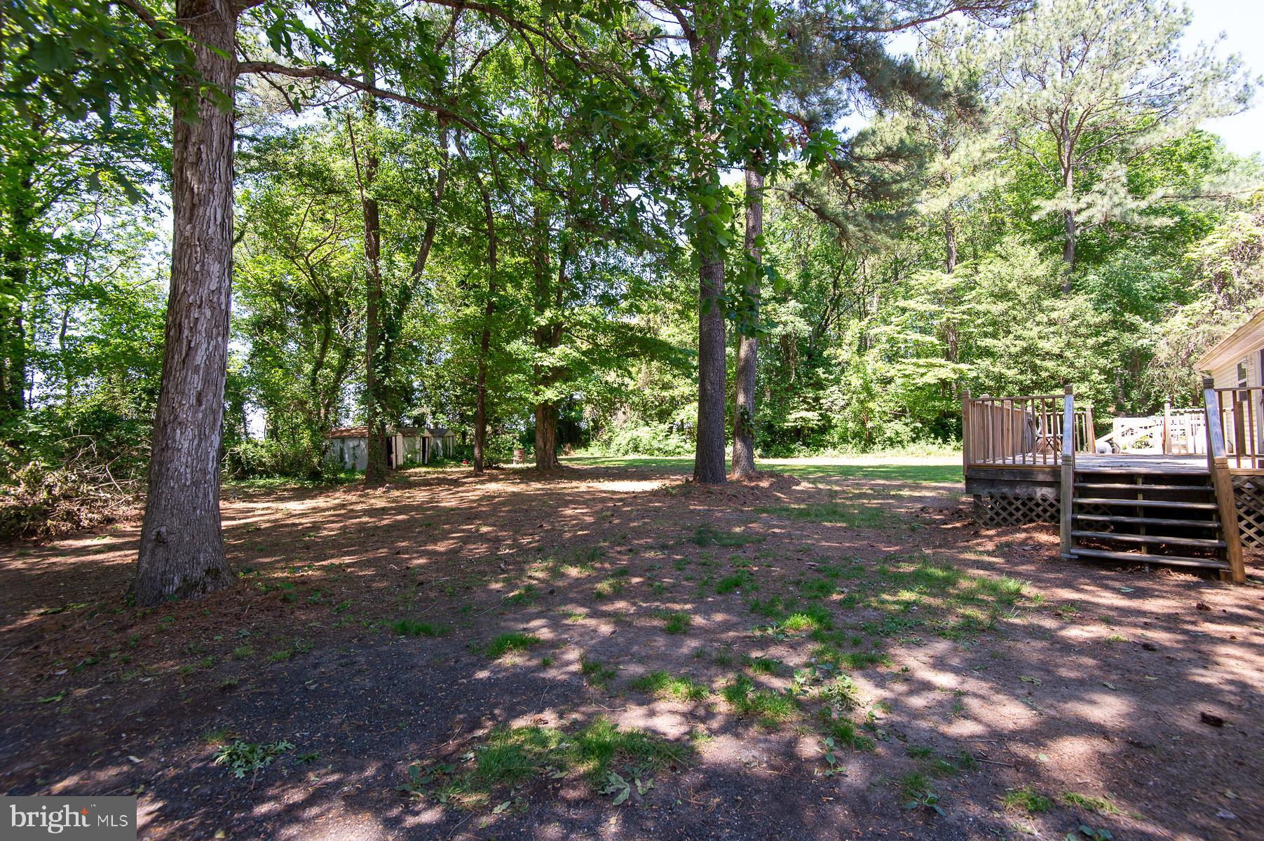 6504 Cabin Ridge Road Hurlock, MD 21643 - Photo 6 of 42