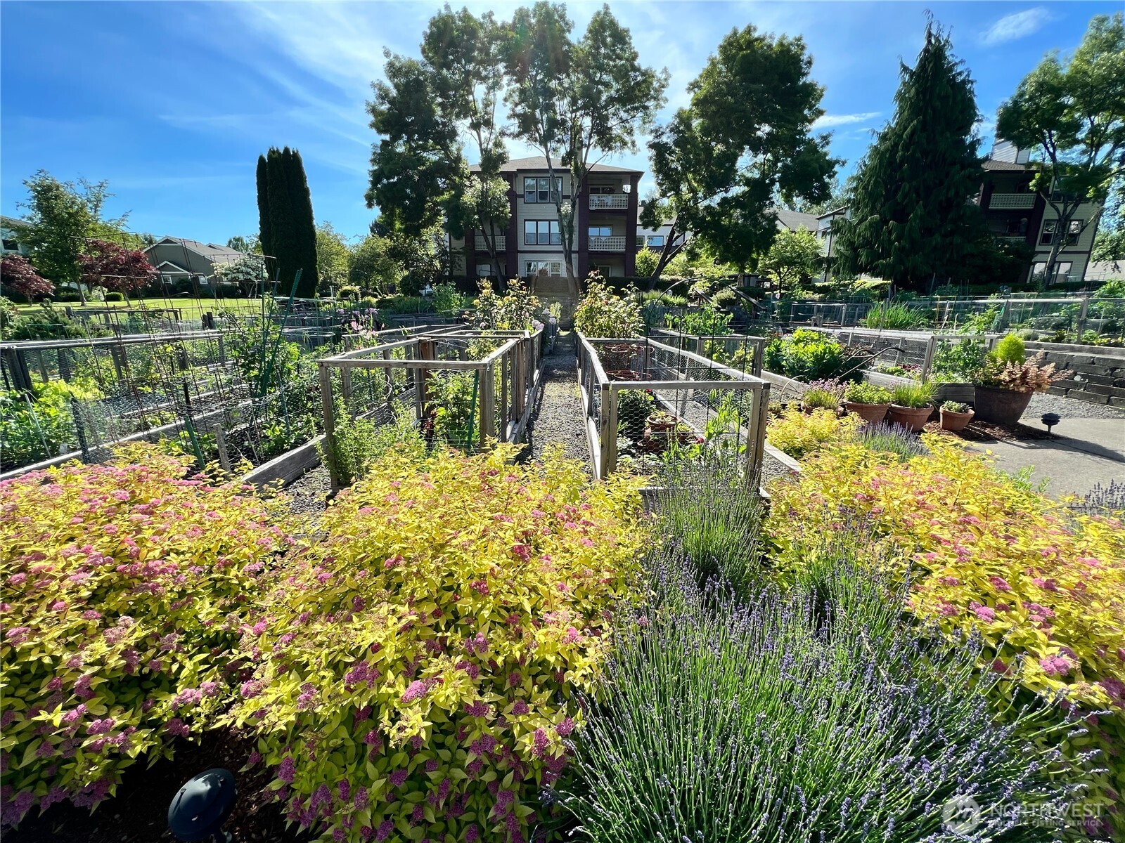 4228 221st Place Southeast, Unit 1083 Issaquah, WA 98029 - Photo 28 of 35