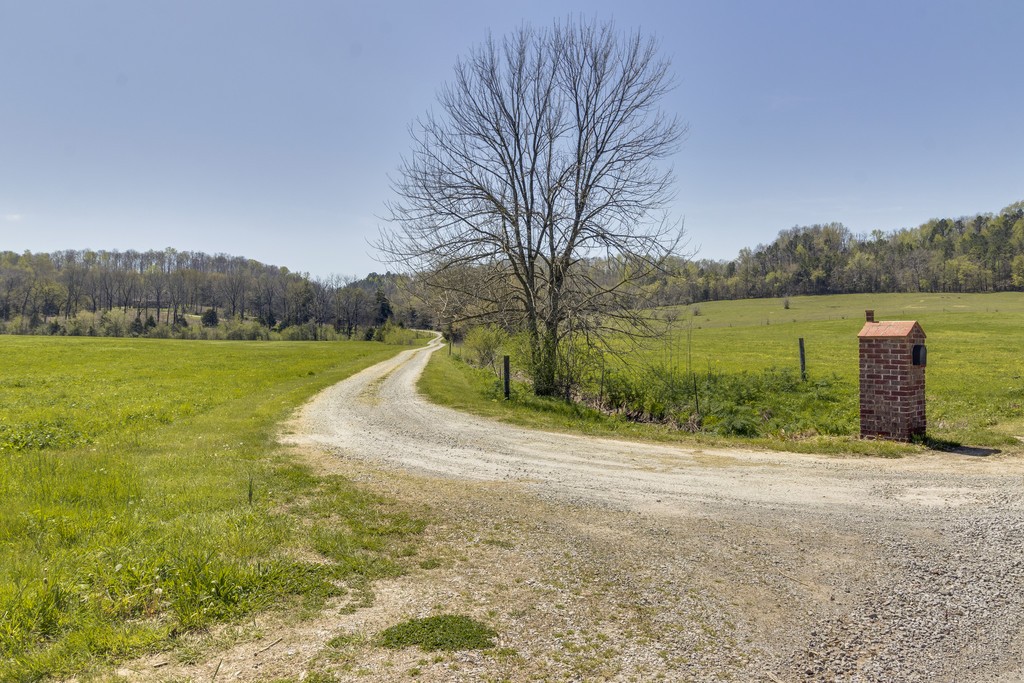 1202 Clock Creek Road Pulaski, TN 38478 - Photo 3 of 30 Gallery Image 3
