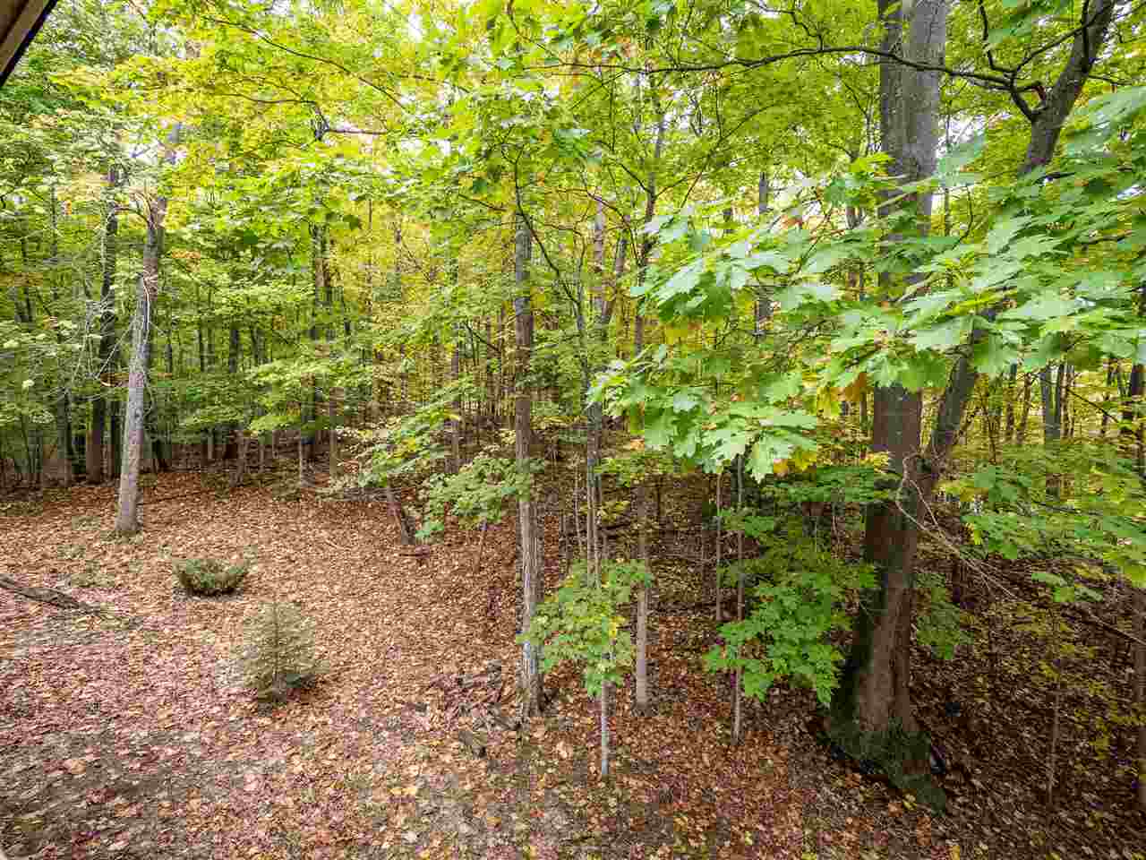 1787 East Old Mountain Road Cedar, MI 49621 - Photo 28 of 49 1894201-27.JPG