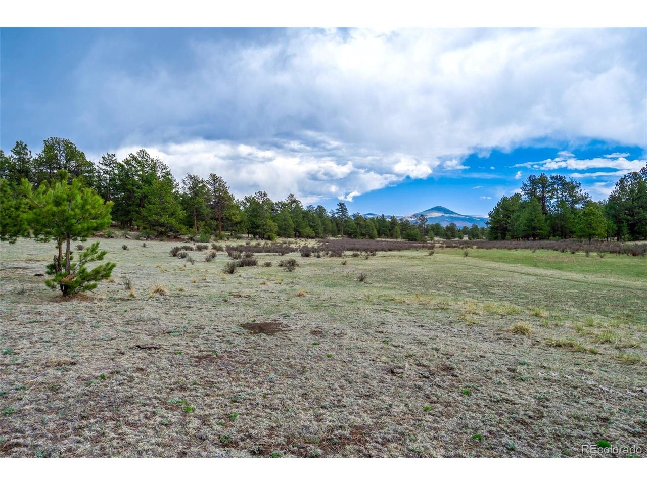 103 Doe Valley Road Guffey, CO 80820 - Photo 3 of 46
