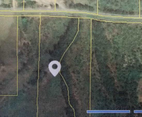300 Friendship Church Road Delano, TN 37325 - Photo 2 of 2 Color-300 Friendship Church