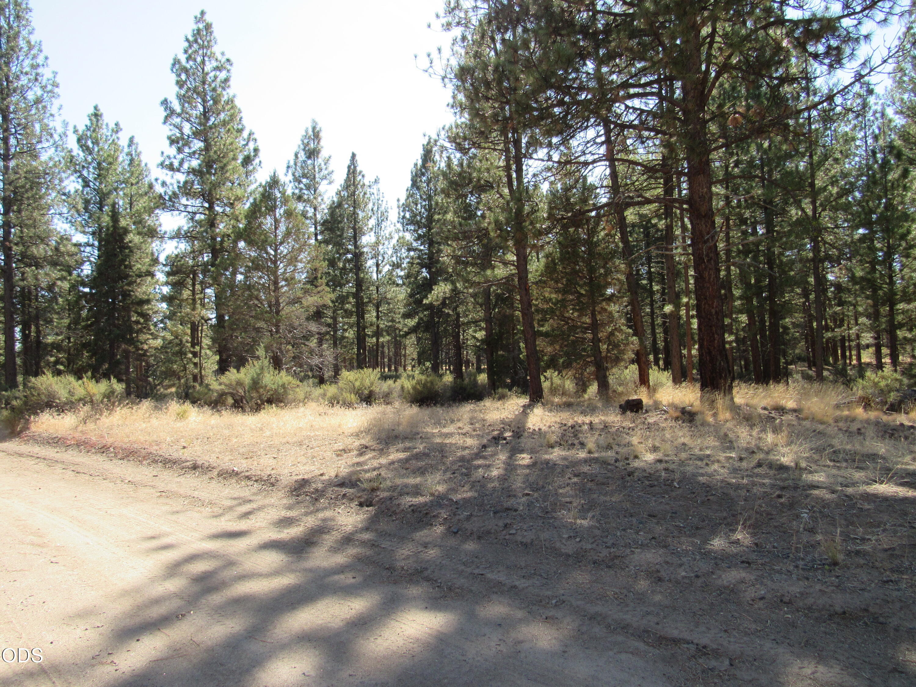 0 Lone Pine Road, Unit 256163 Chiloquin, OR 97624 - Photo 11 of 21 Gallery Image 11