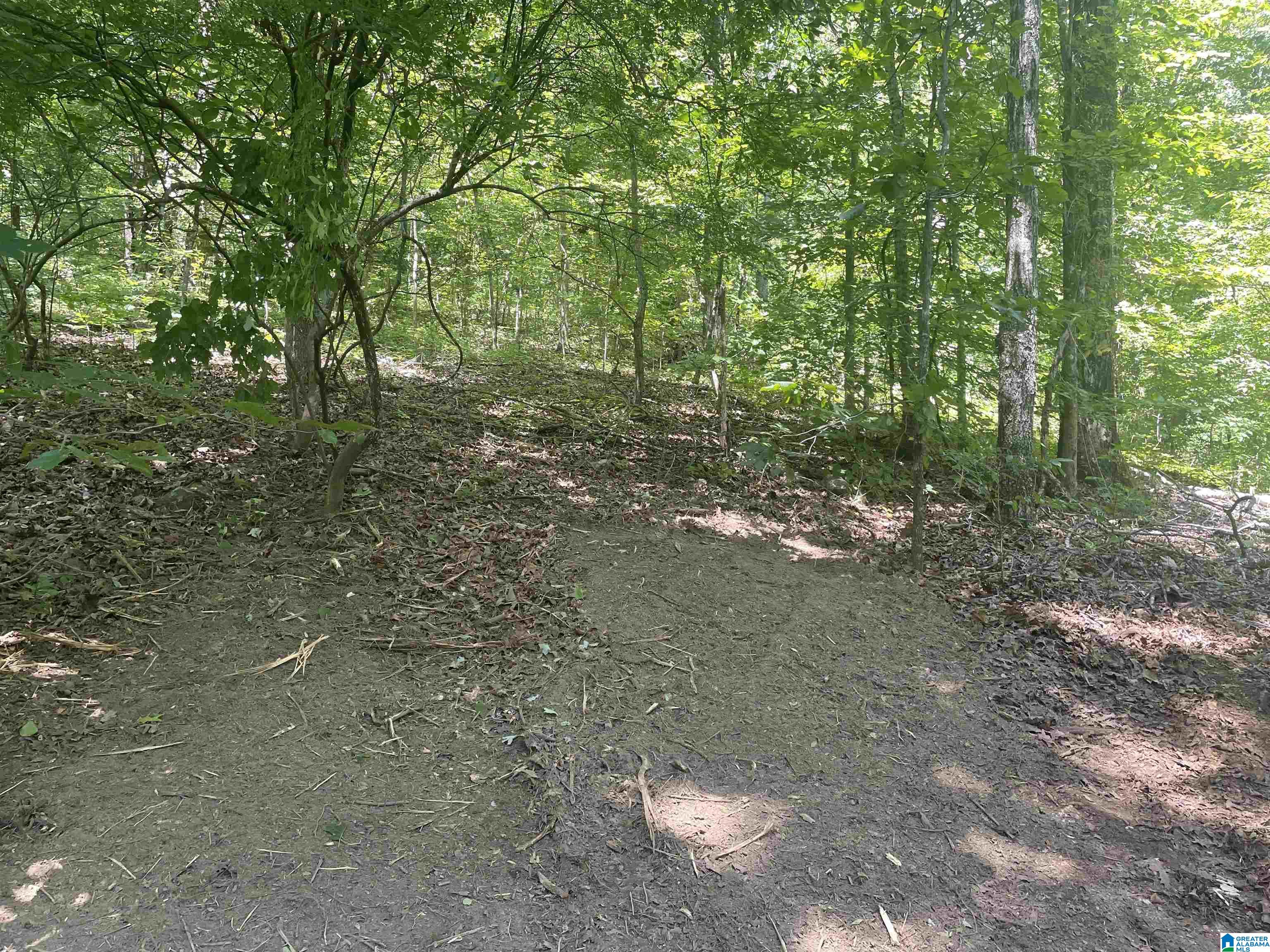 6740 Tucker Brown Road, Unit 9 75 Pinson, AL 35126 - Photo 23 of 44