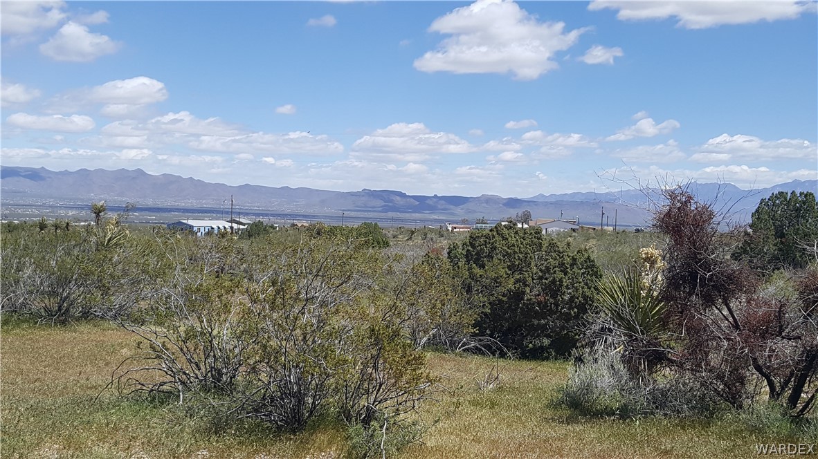 1534 Gisela Road Golden Valley, AZ 86413 - Photo 3 of 6