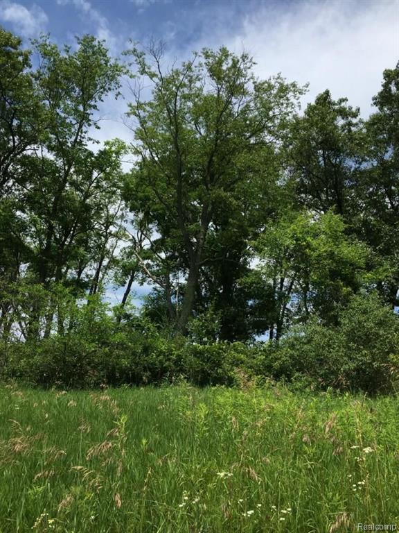 Parcel B Parker Road Holly, MI 48442 - Photo 13 of 18