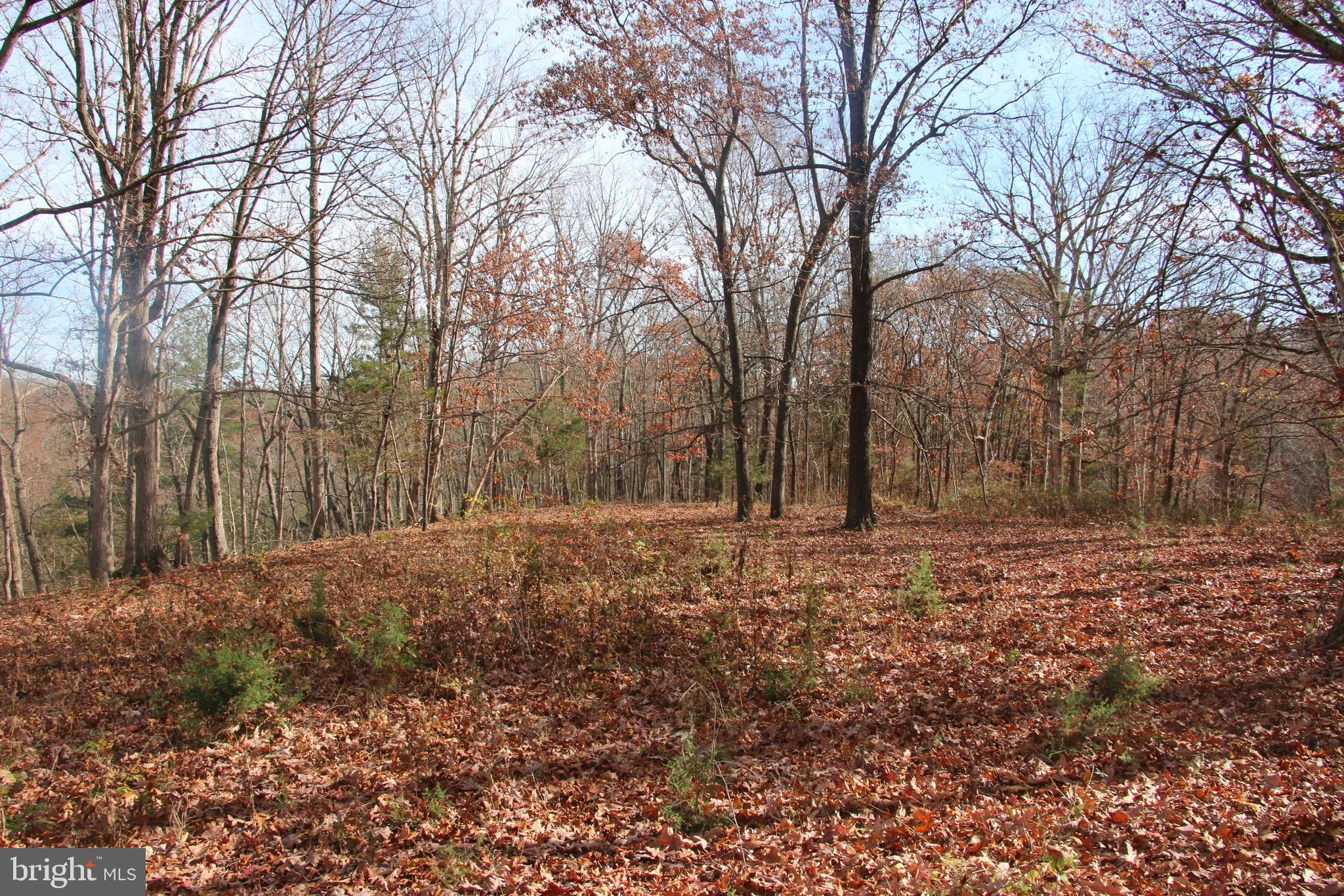 39 A Drive Front Royal, VA 22630 - Photo 1 of 61