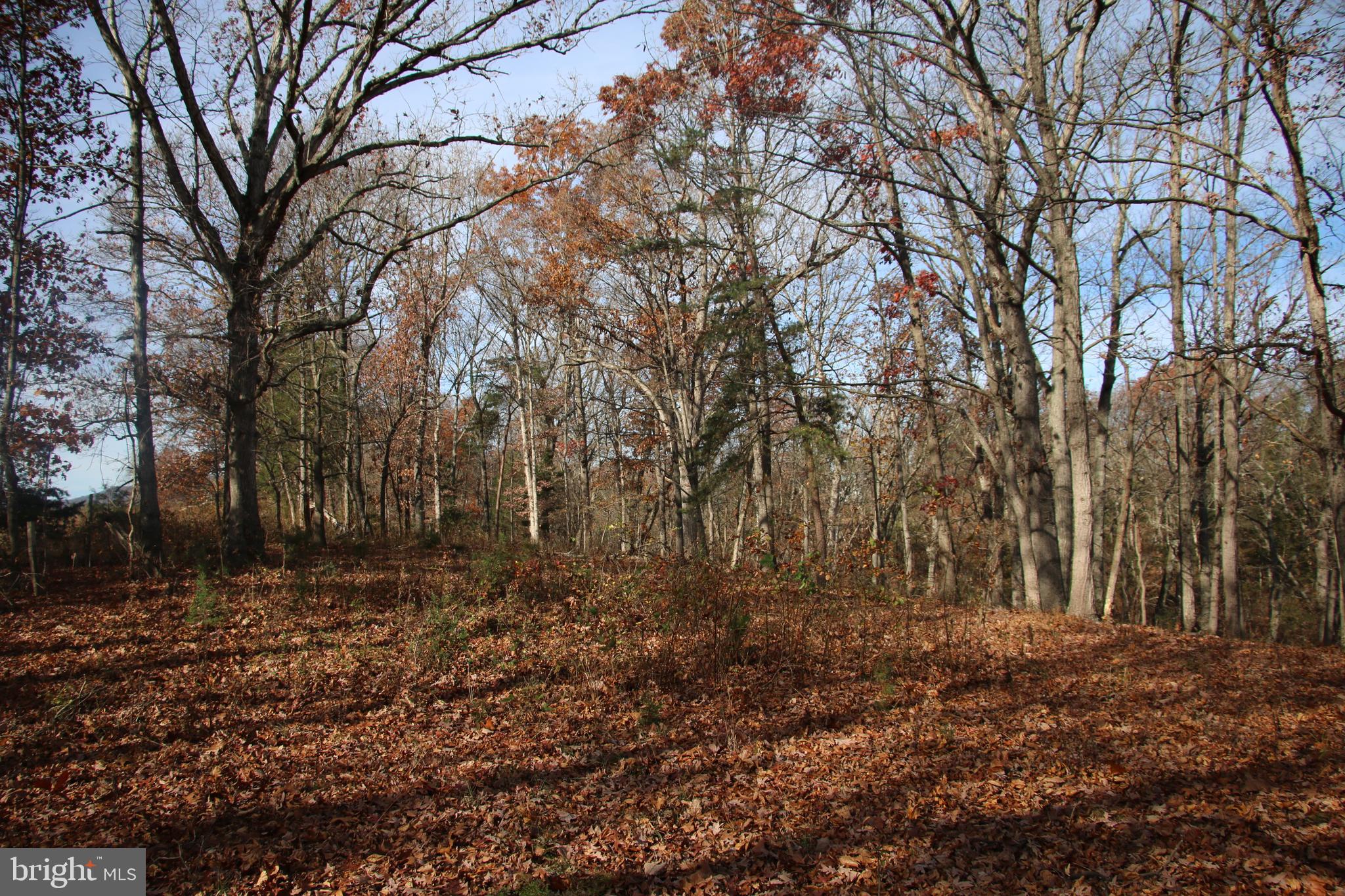 39 A Drive Front Royal, VA 22630 - Photo 11 of 61