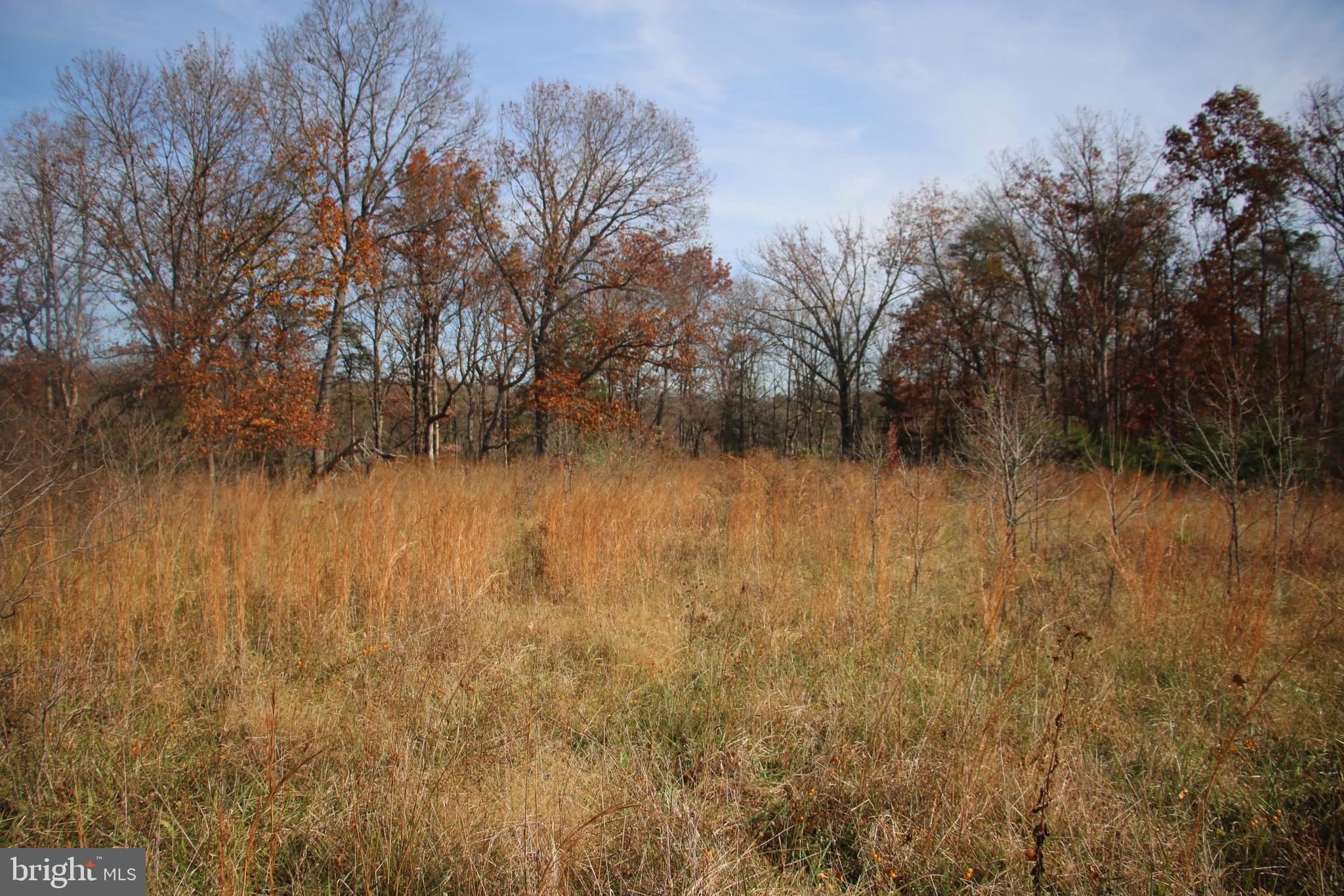 39 A Drive Front Royal, VA 22630 - Photo 2 of 61