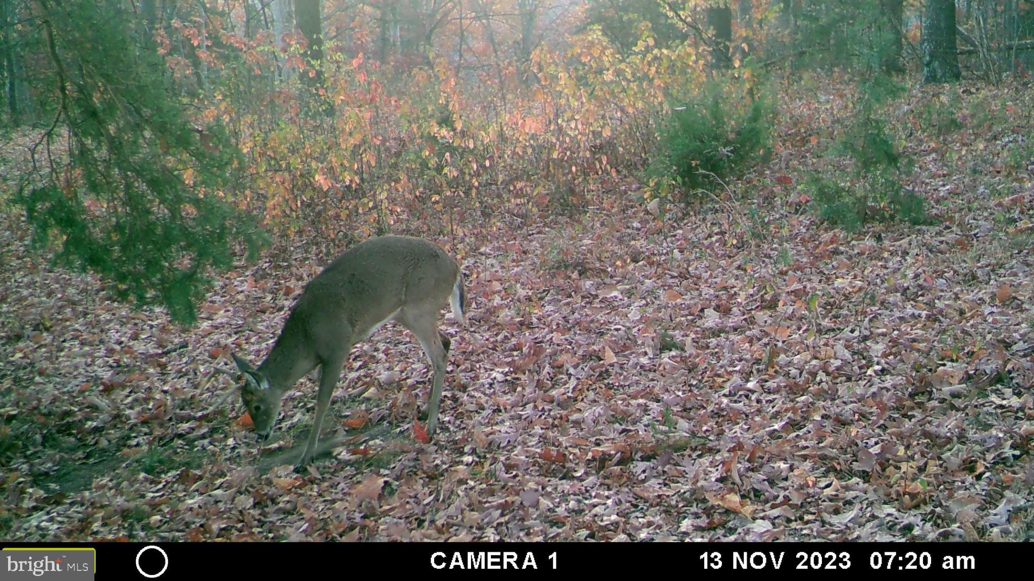 39 A Drive Front Royal, VA 22630 - Photo 24 of 61