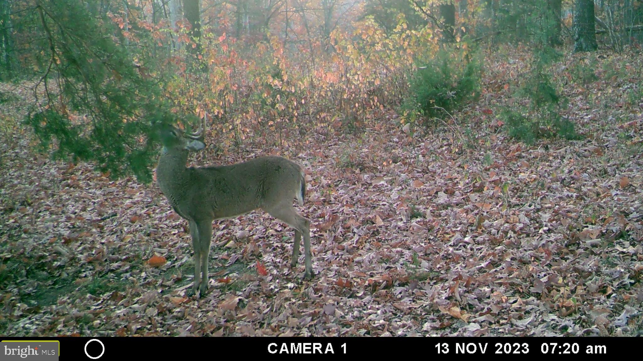 39 A Drive Front Royal, VA 22630 - Photo 25 of 61