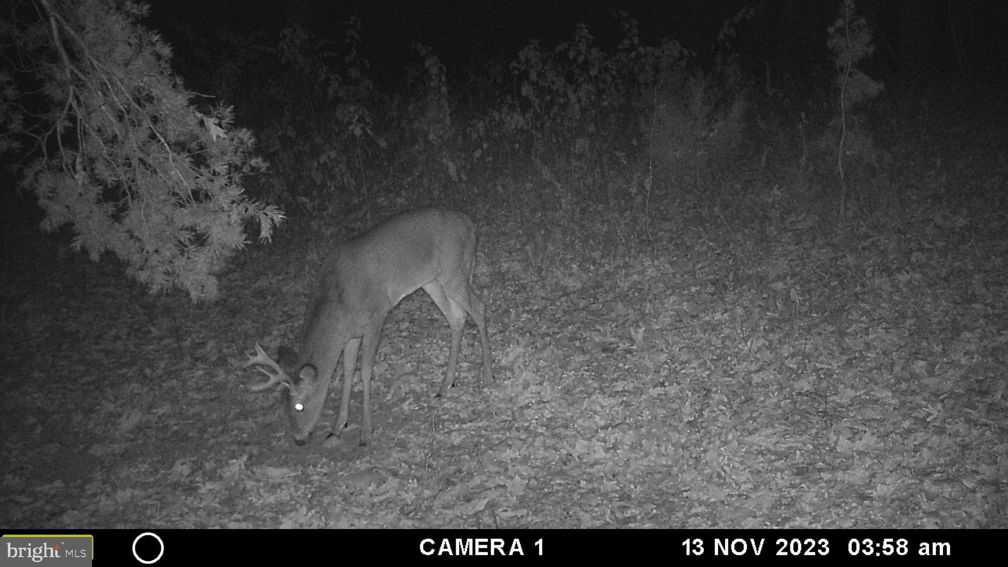 39 A Drive Front Royal, VA 22630 - Photo 26 of 61