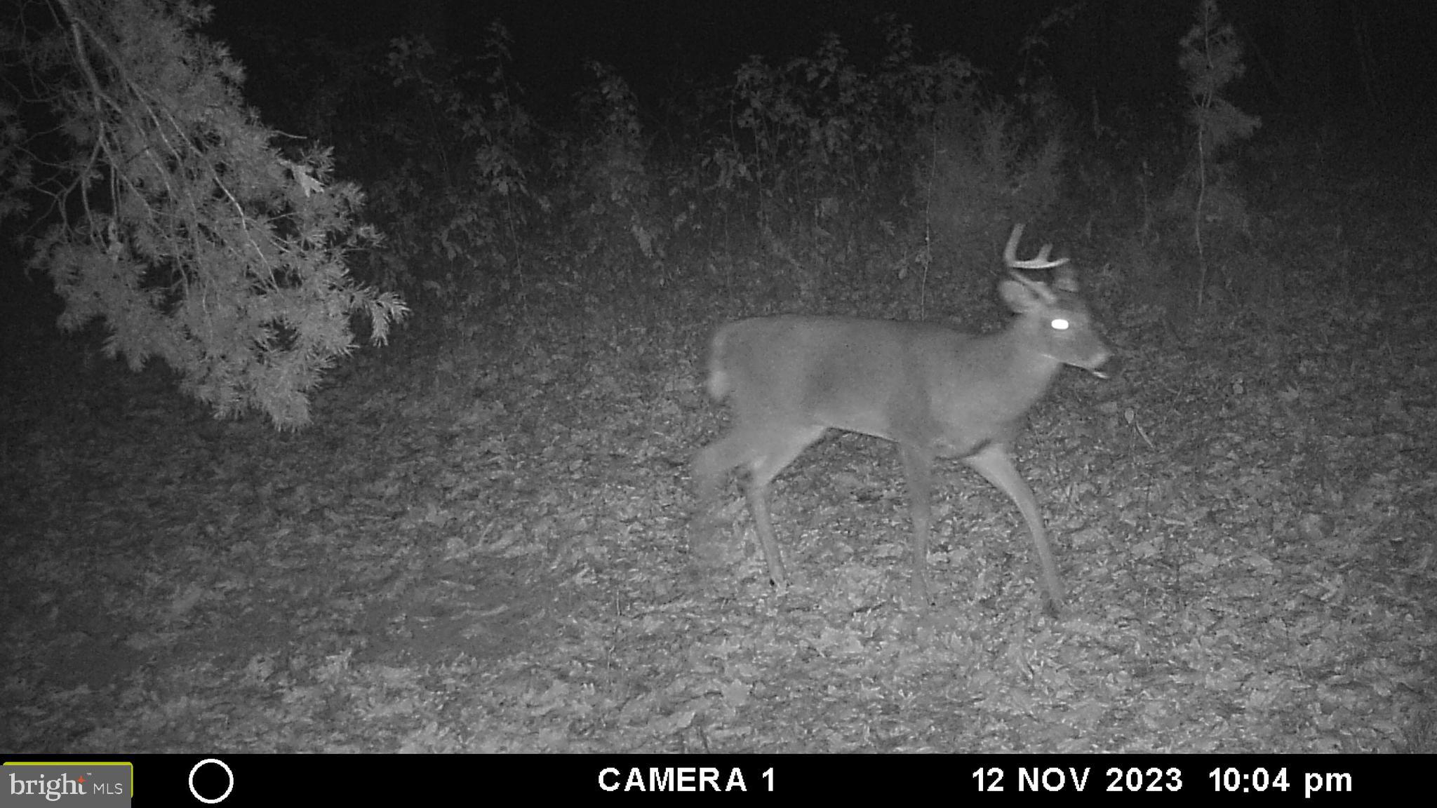 39 A Drive Front Royal, VA 22630 - Photo 27 of 61