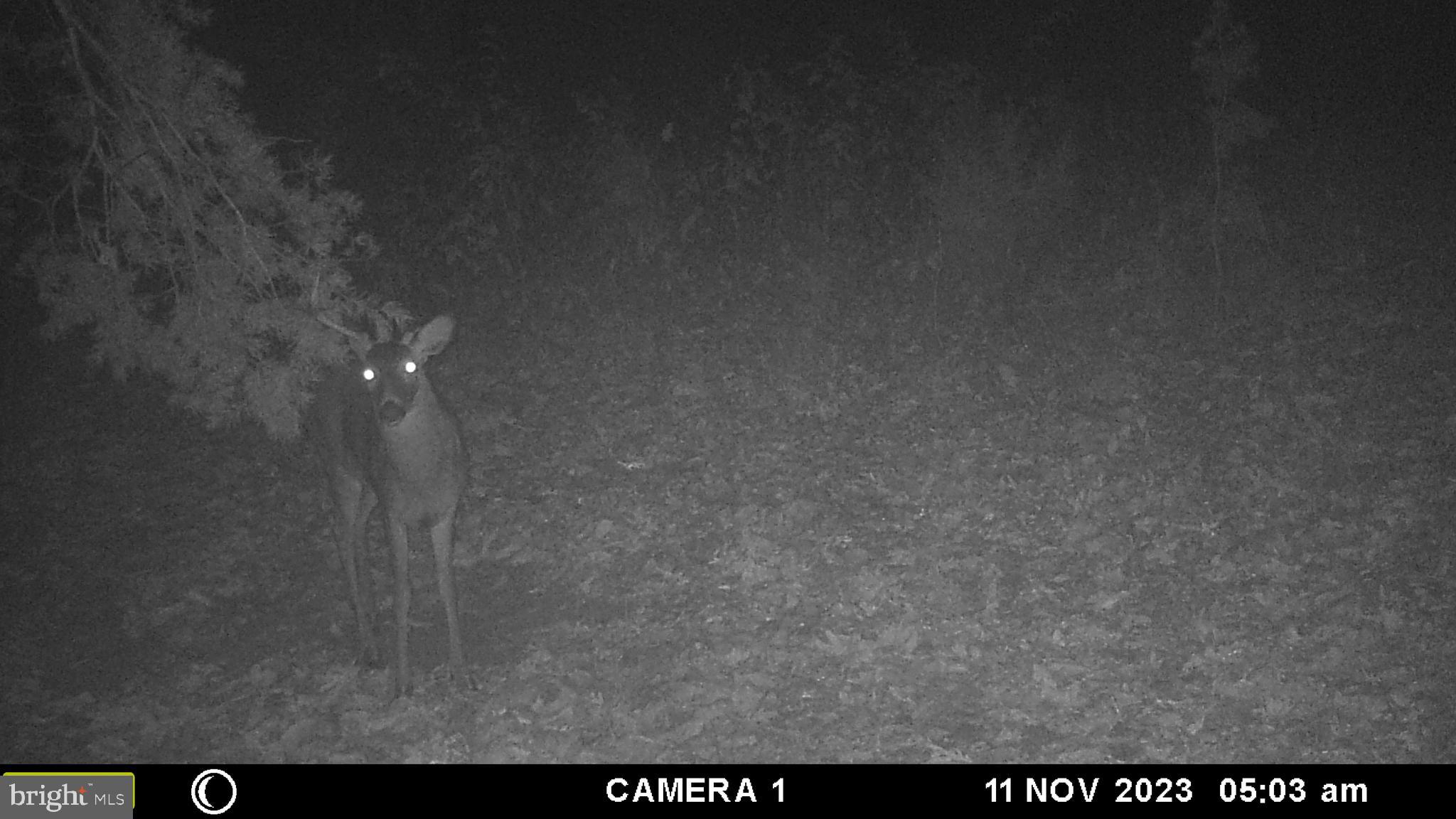 39 A Drive Front Royal, VA 22630 - Photo 30 of 61