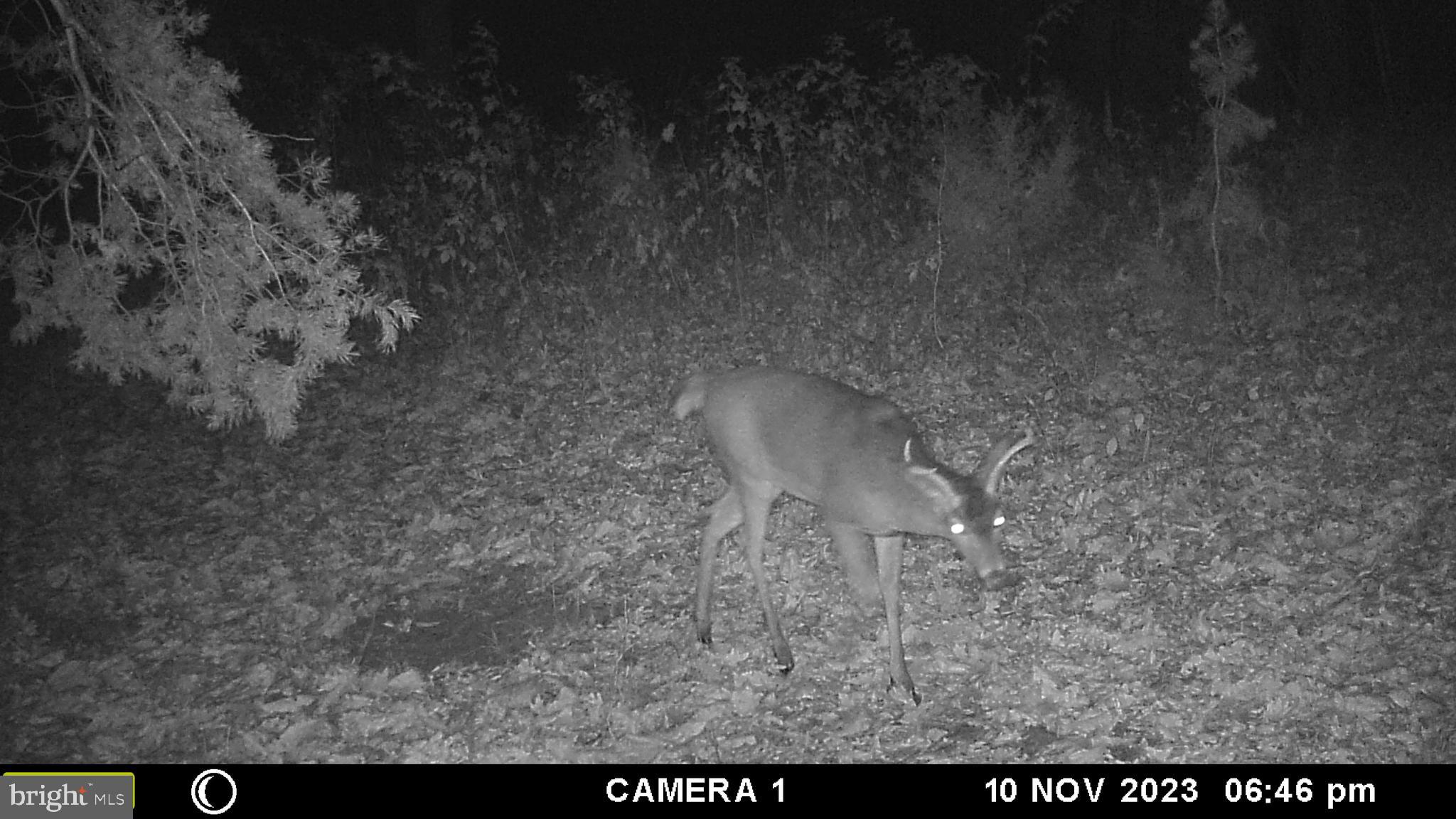 39 A Drive Front Royal, VA 22630 - Photo 31 of 61