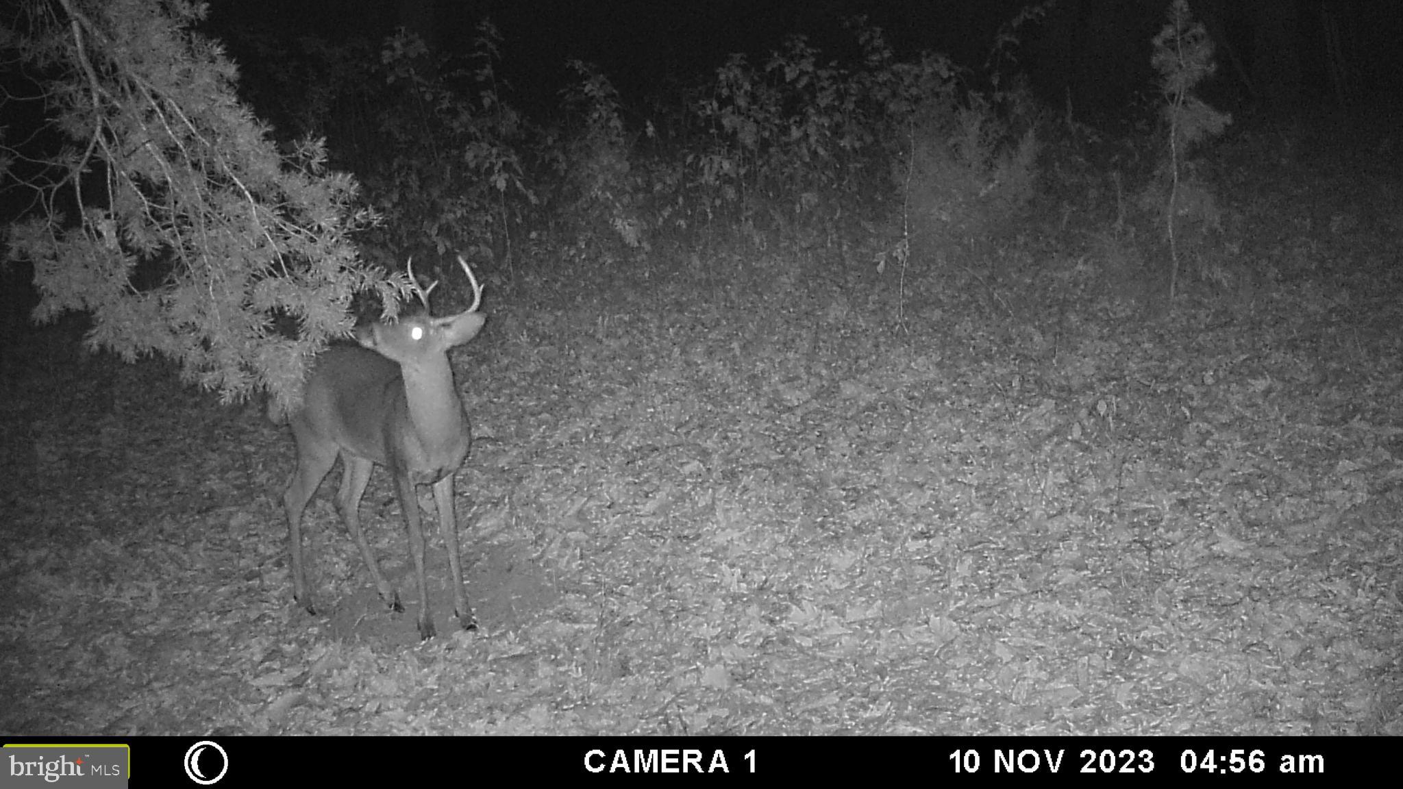 39 A Drive Front Royal, VA 22630 - Photo 32 of 61