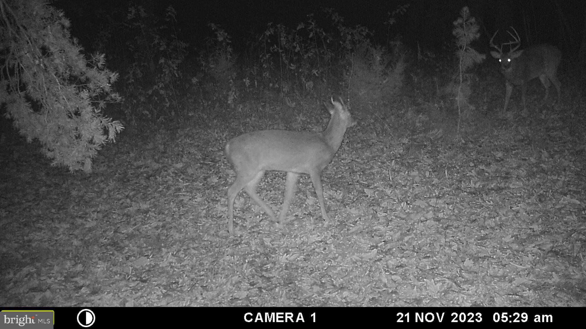 39 A Drive Front Royal, VA 22630 - Photo 34 of 61