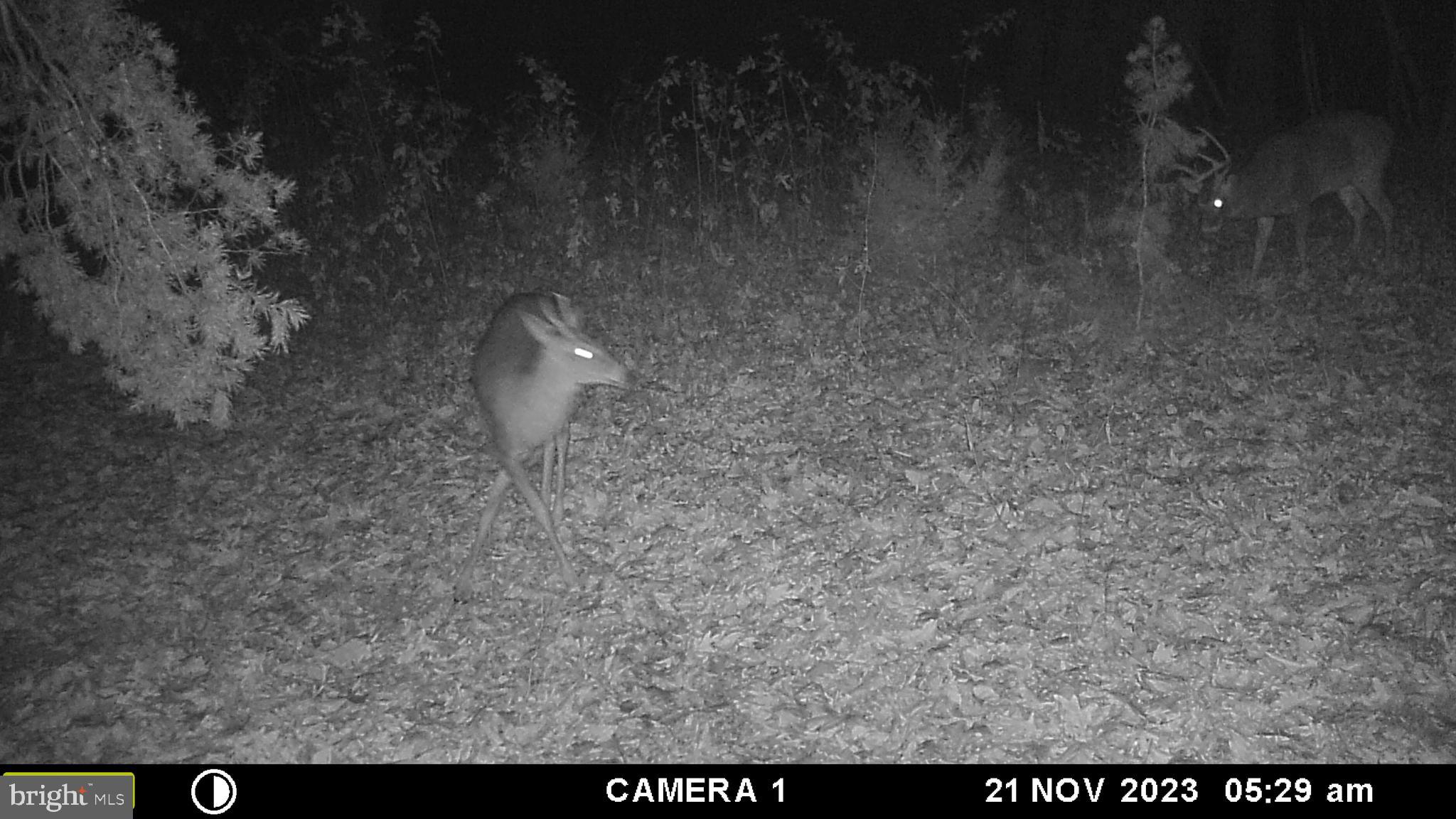 39 A Drive Front Royal, VA 22630 - Photo 35 of 61