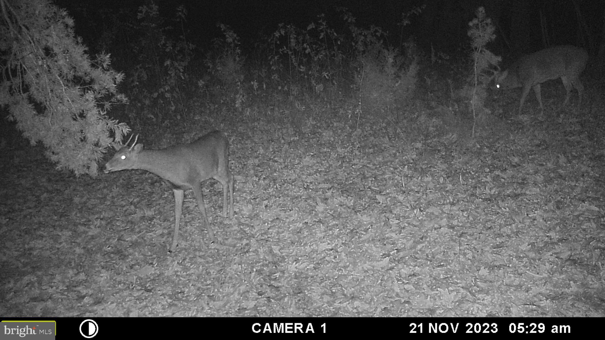 39 A Drive Front Royal, VA 22630 - Photo 37 of 61