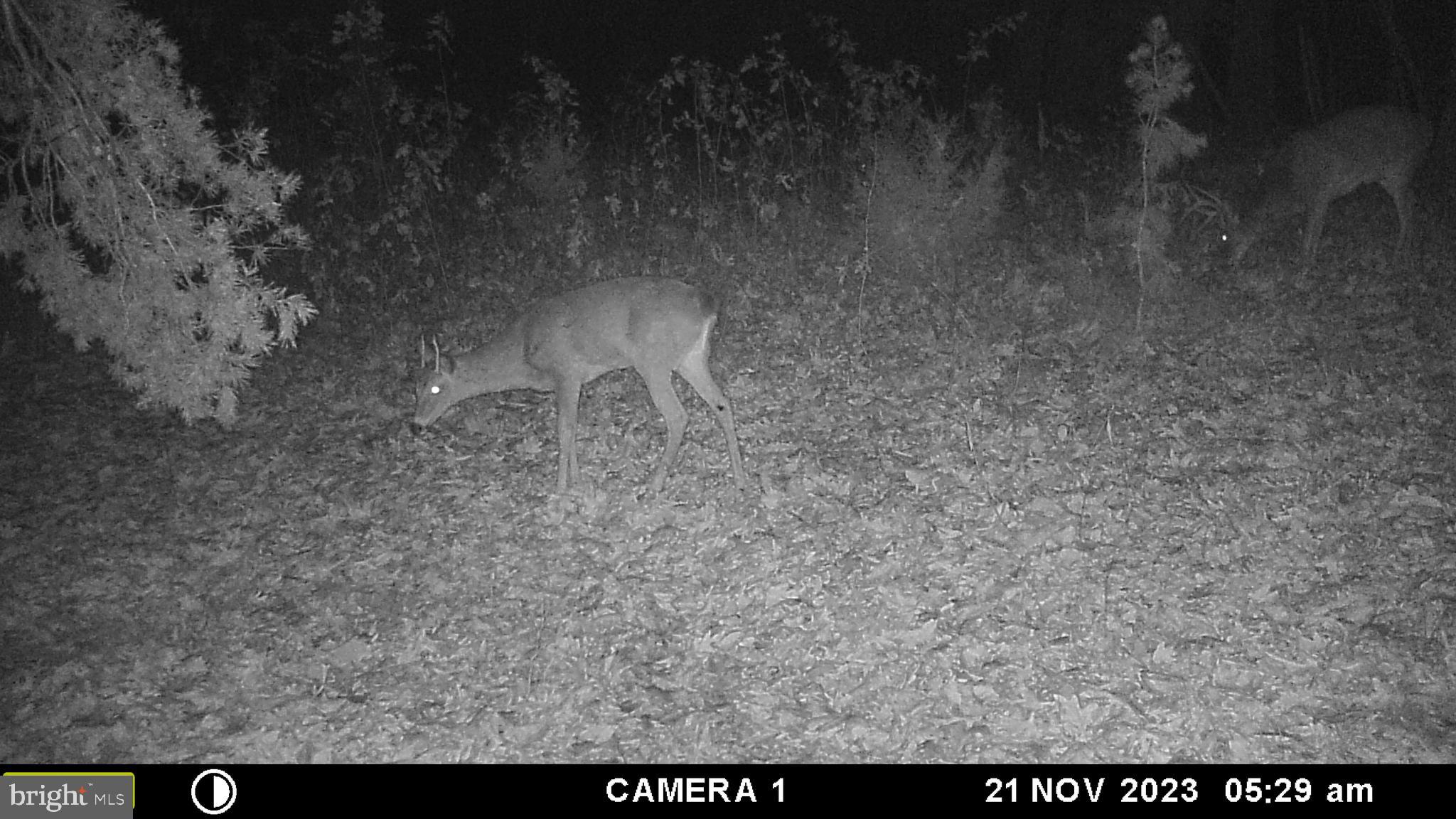 39 A Drive Front Royal, VA 22630 - Photo 38 of 61