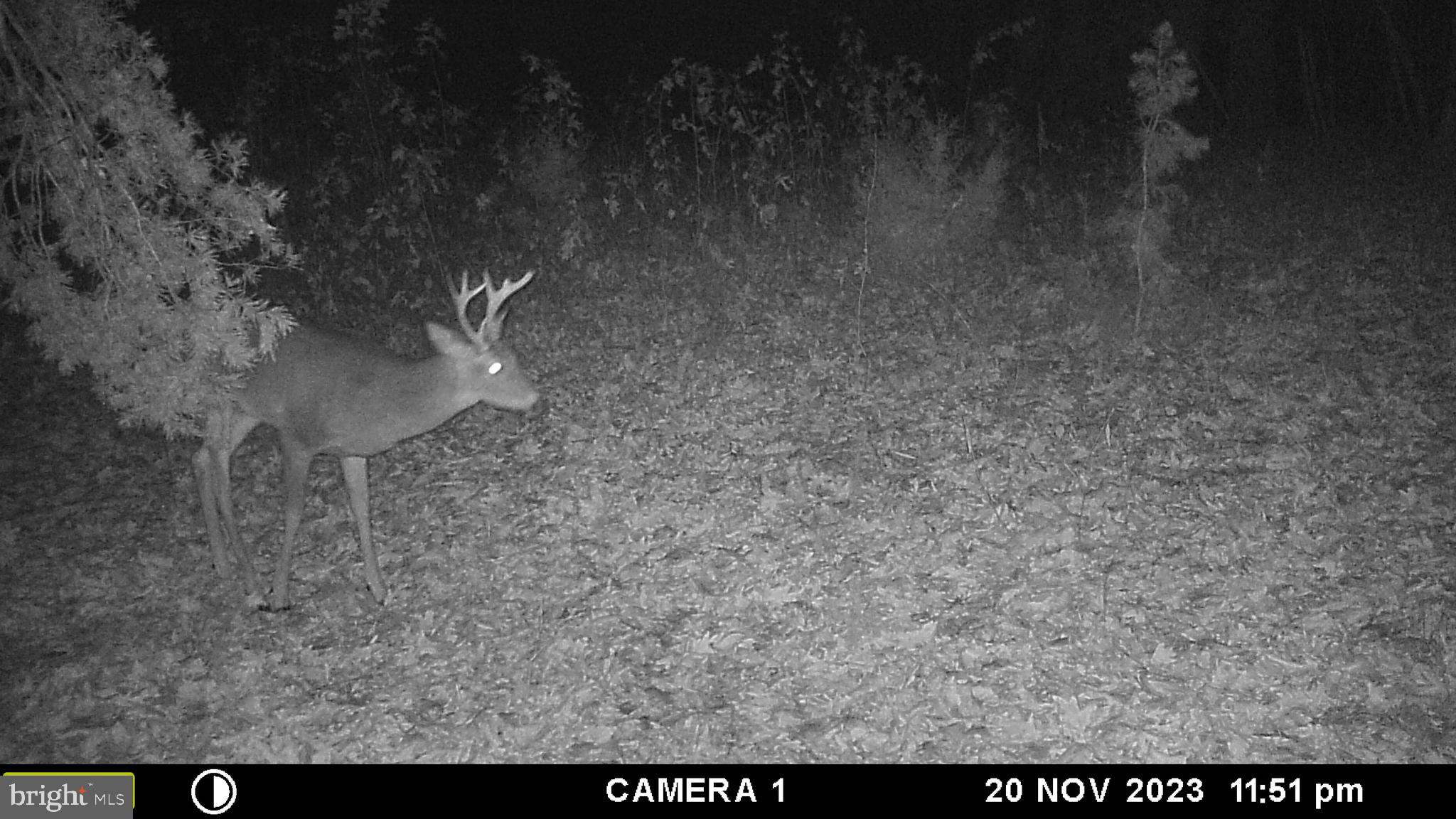 39 A Drive Front Royal, VA 22630 - Photo 39 of 61